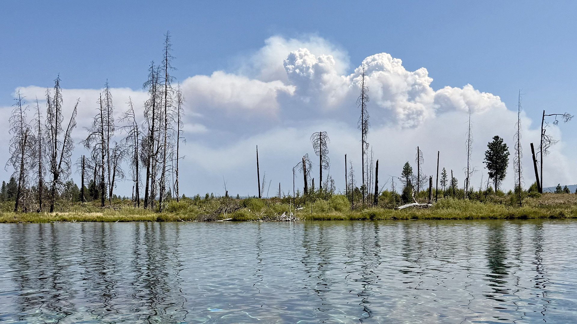 Level 3 Evacuations Issued as Wrights Spring Fire Surges to 8,722 Acres
