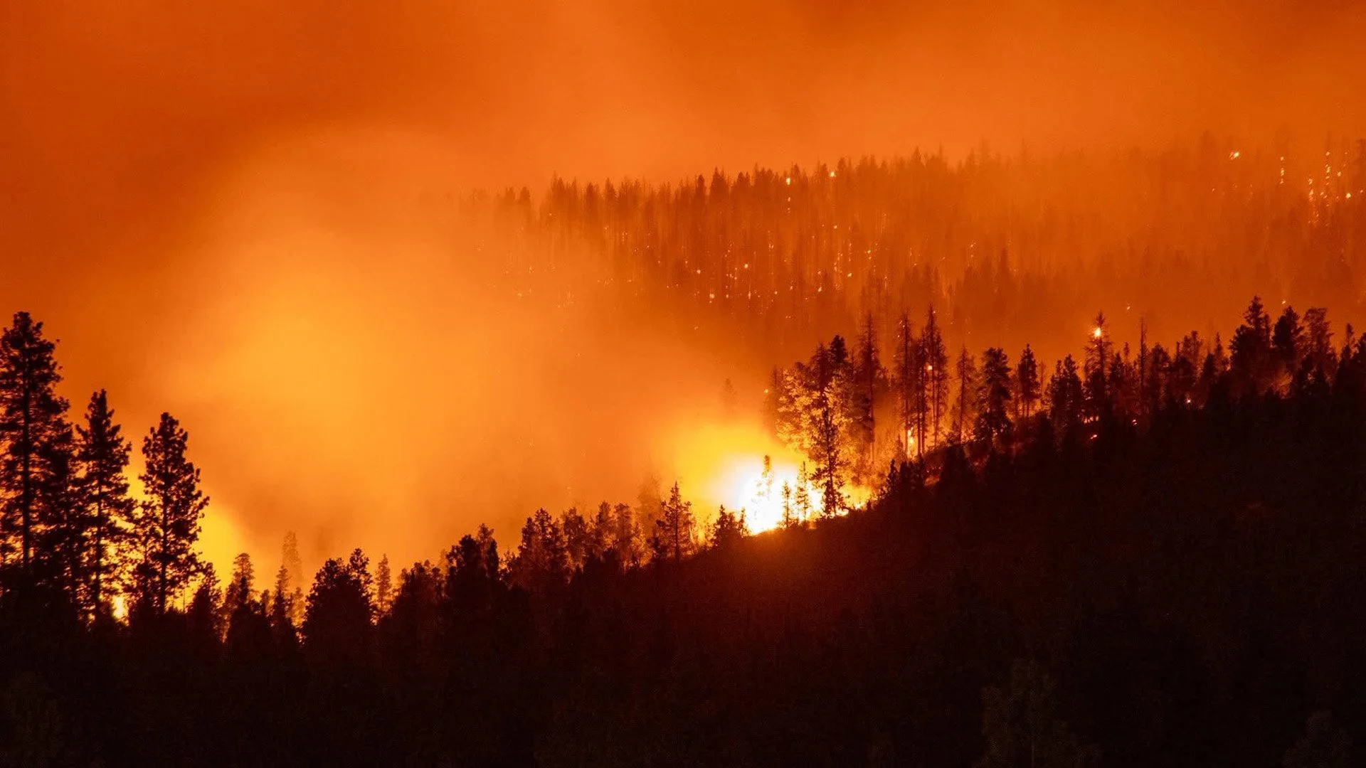 Wrights Spring Fire Reaches 46,769 Acres as Large Forest Closure Takes Effect