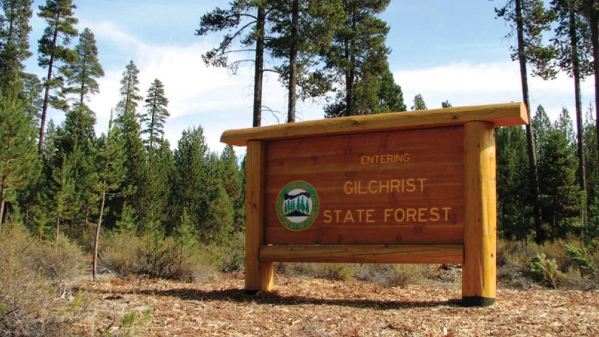 Extreme Fire Conditions Close Gilchrist, Sun Pass State Forests