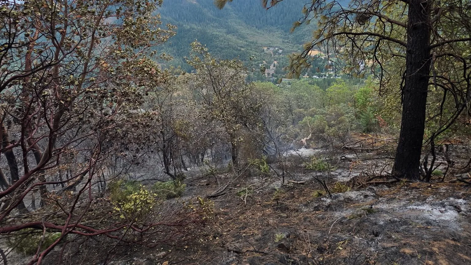 Fielder Mountain Fire Reaches 29% Containment; Evacuations Canceled