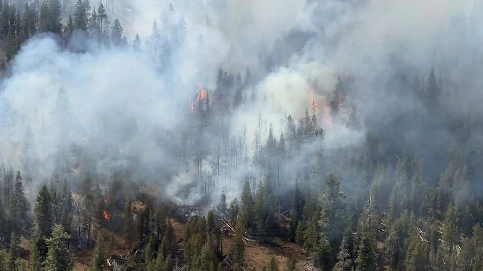 Crews Close Last Open Edge on Wrights Spring Fire