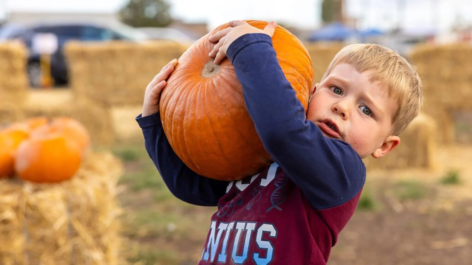Pumpkin Festival Kicks Off Fall Fun Across Klamath Basin