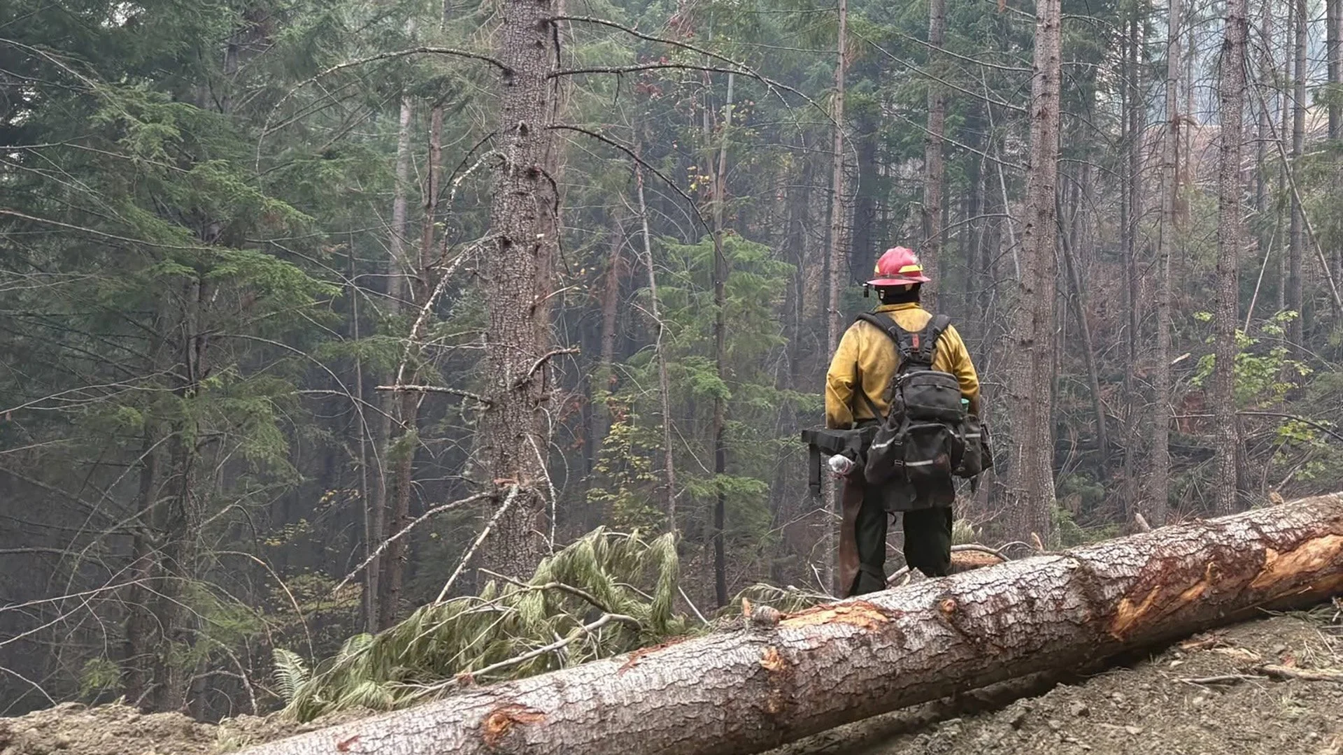 West Fork Evans Creek Fire reaches 48% containment as mop-up deepens