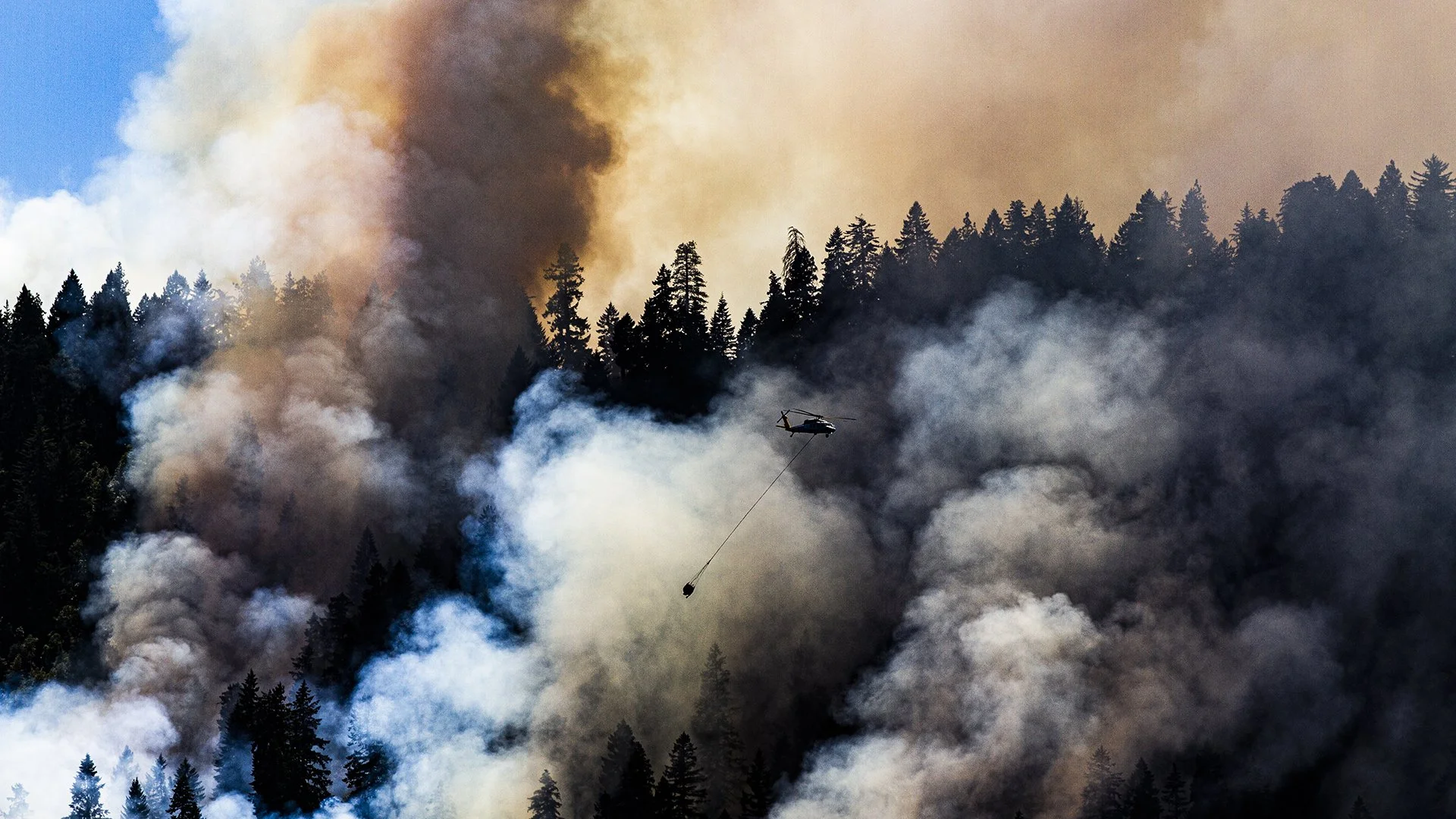 One Spark Can Start a Wildfire