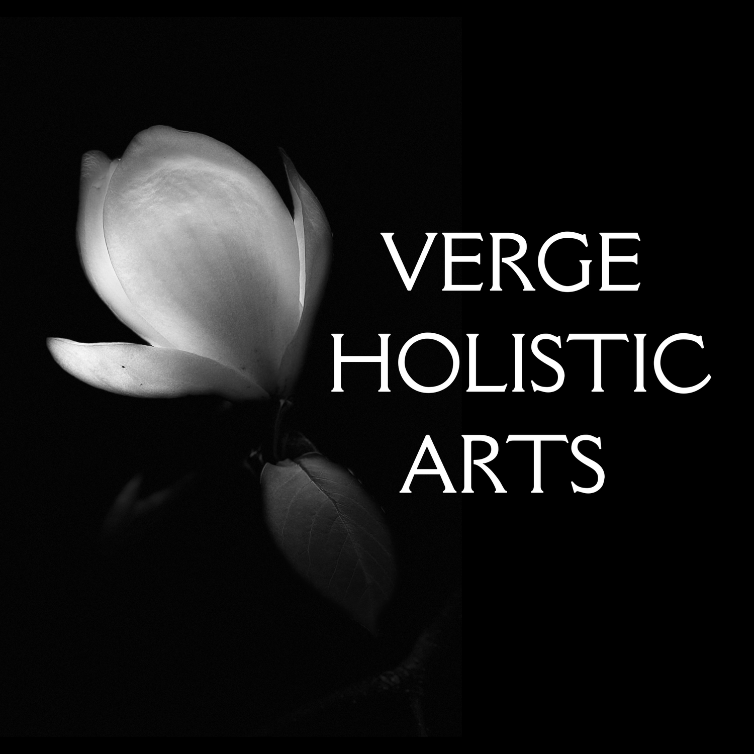 VERGE HOLISTIC ARTS