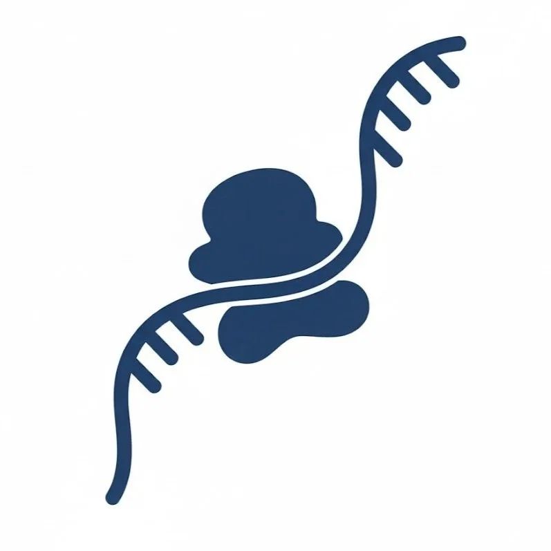 A stylized graphic of a DNA double helix incorporating a prenatal ultrasound image of a fetus.