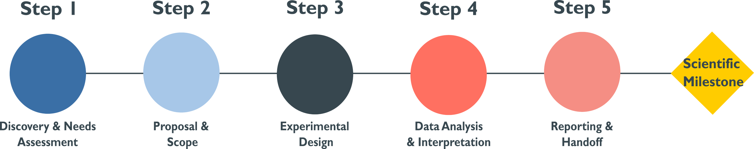 A five-step scientific process infographic sequence. Step 1: Discovery & Needs Assessment with a dark blue circle. Step 2: Proposal & Scope with a light blue circle. Step 3: Experimental Design with a dark gray circle. Step 4: Data Analysis & Interpretation with a red circle. Step 5: Reporting & Handoff with a light red circle. Ends with a yellow diamond labeled Scientific Milestone.