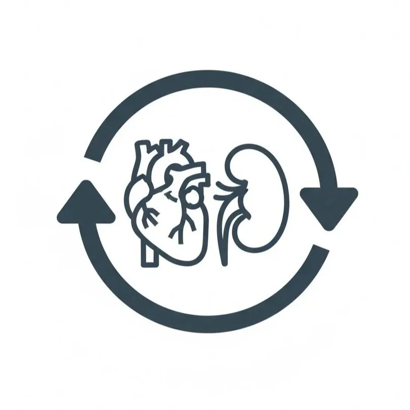 Line drawing of a human heart and a kidney surrounded by circular arrows, representing the connection between heart and kidney health.