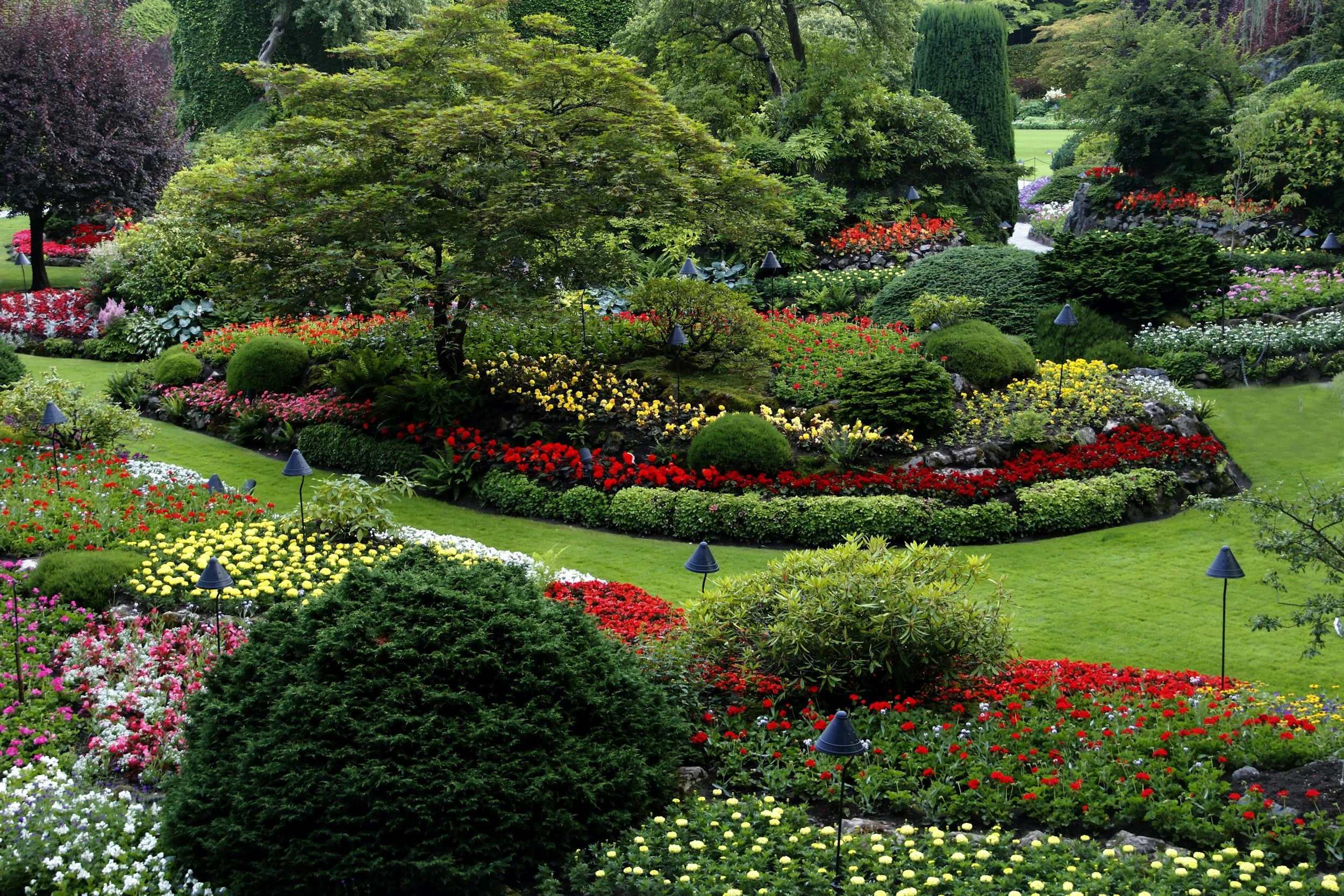 A vibrant, well-maintained garden with a variety of colorful flowers, shrubs, and trees, along with landscape lighting on a lush green lawn.
