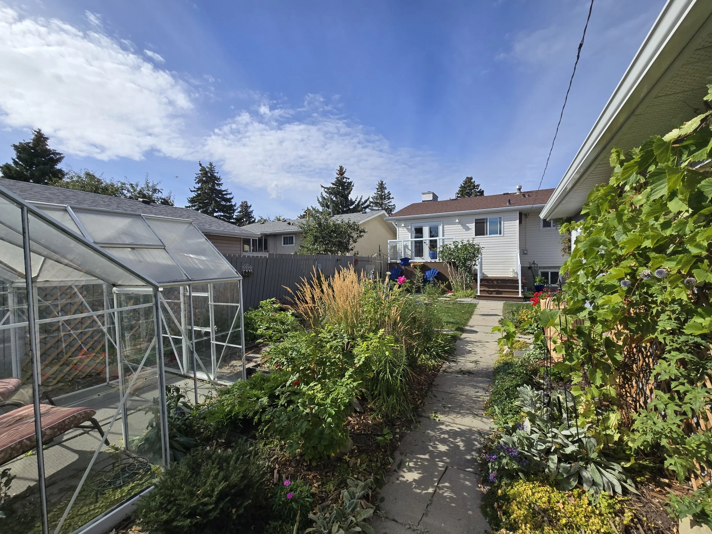A backyard garden with a concrete pathway, plants, flowers, a greenhouse on the left, and a white house with a small deck in the background under a partly cloudy sky.