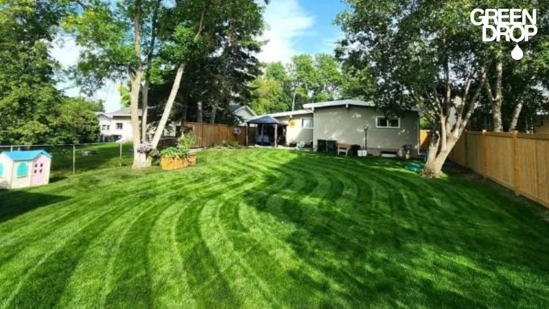 Backyard with freshly mowed green grass, trees, a house, a wooden fence, and a small playhouse in the yard.