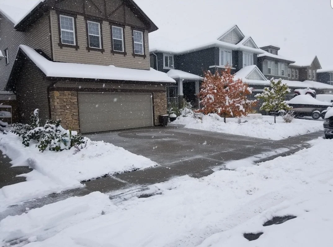 Snow-covered suburban neighborhood with houses, trees, driveway, and parked cars during snowfall.