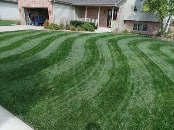 A front yard with a well-maintained, green lawn showing mowing lines in front of a house with a porch and garage, with trees and shrubs nearby.