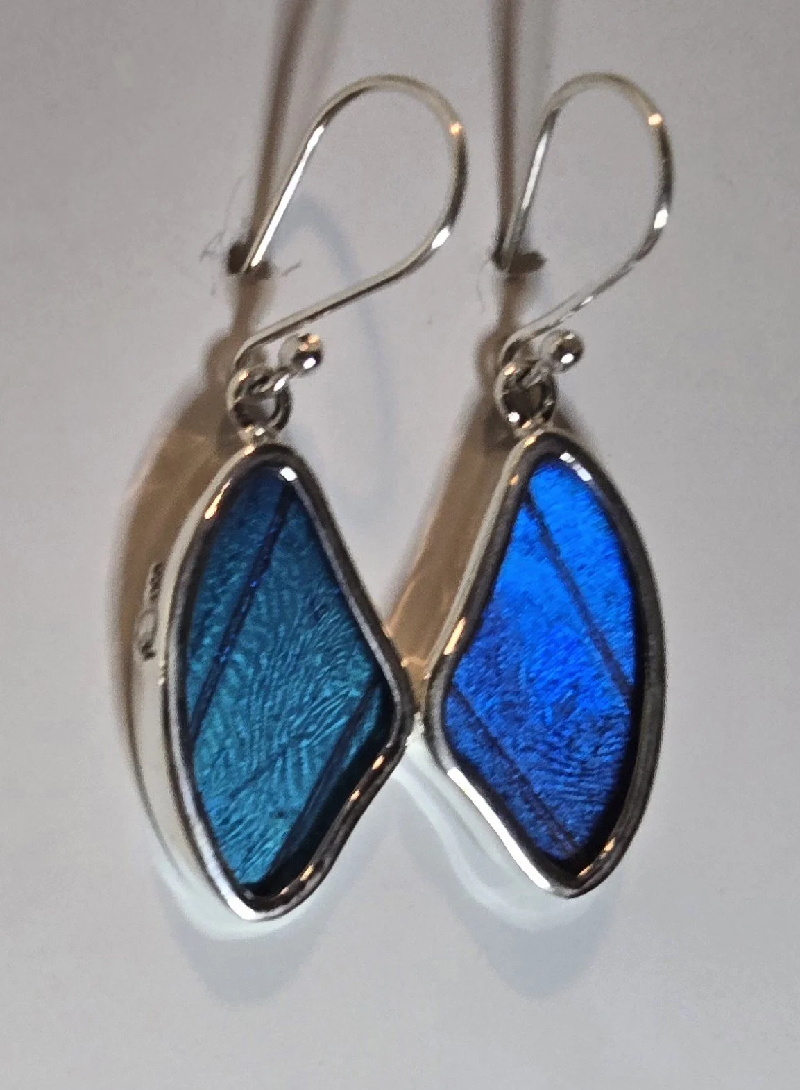 Morpho 3.jpg