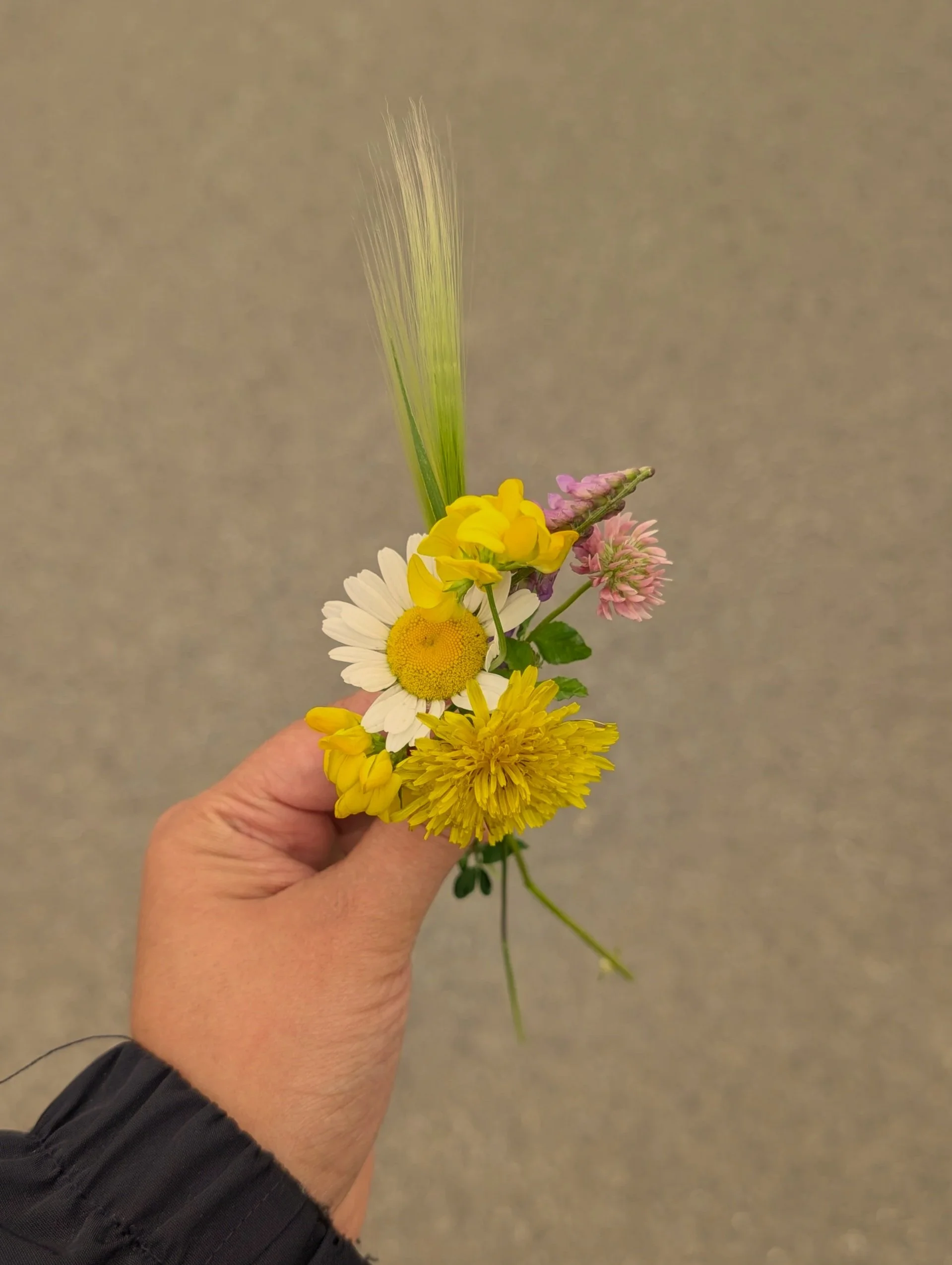 Hand holding a small bouquet of handpicked wildflowers symbolizing gentle care.