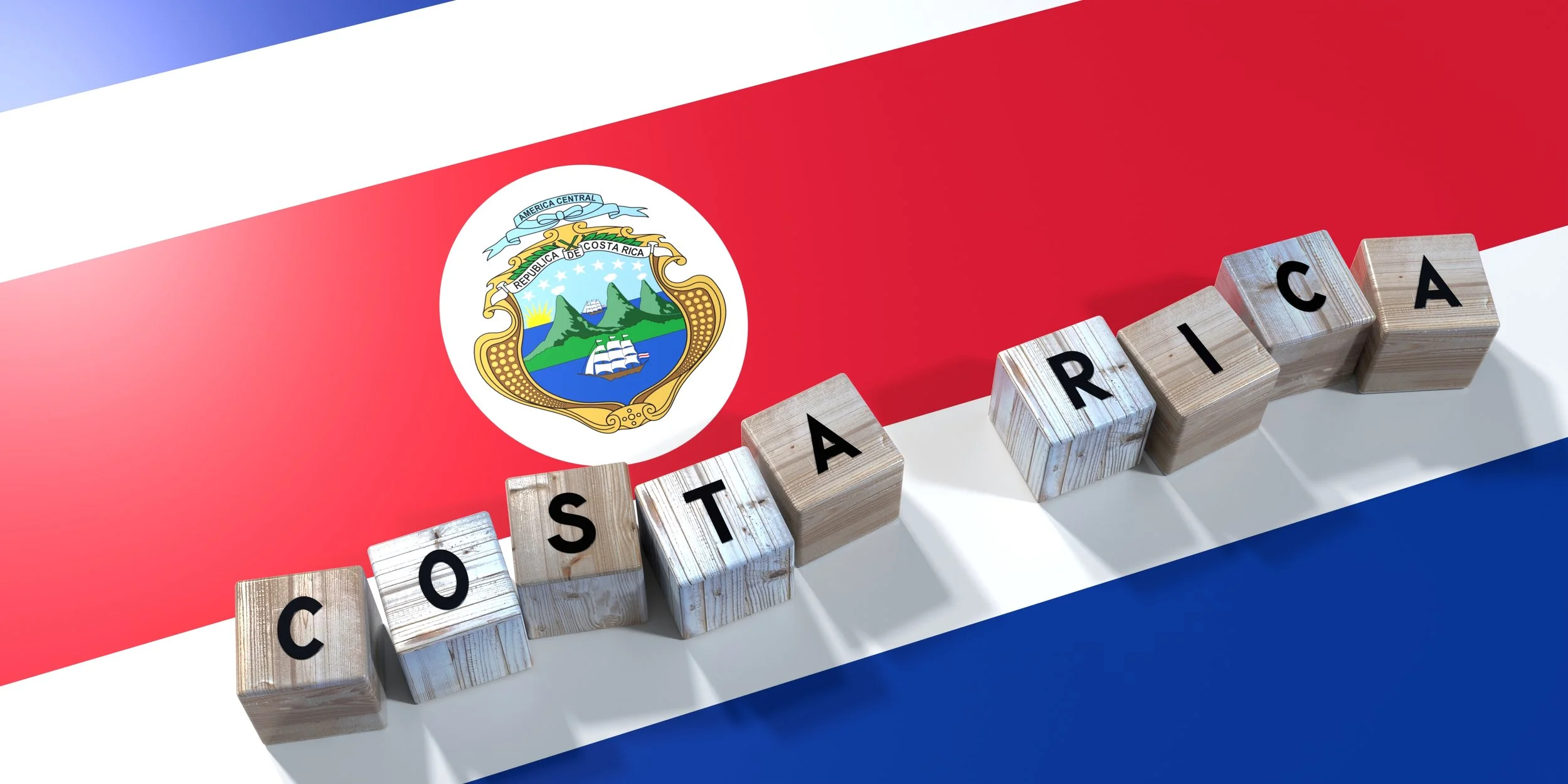 Desempeño del Gobierno durante el año 2000