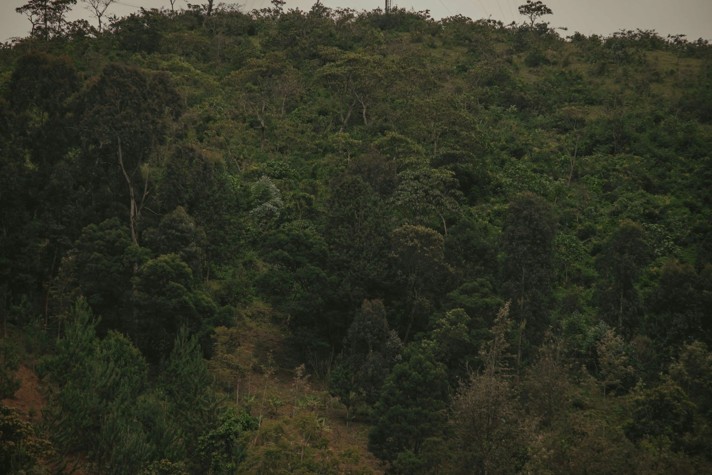 Sector Ambiente y Energía - 2000