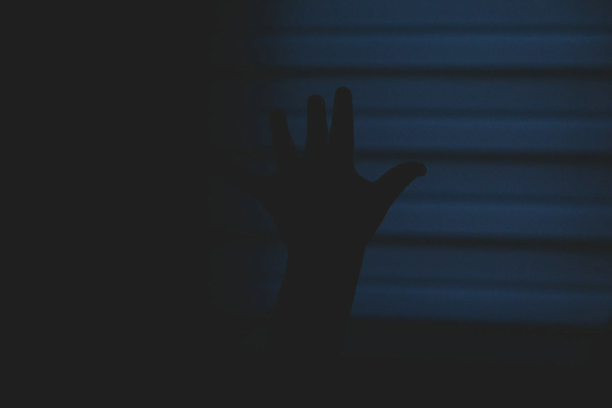 El mal, la violencia, sus terribles consecuencias