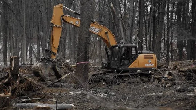 A yellow excavator in a forest clearing, clearing trees and debris.