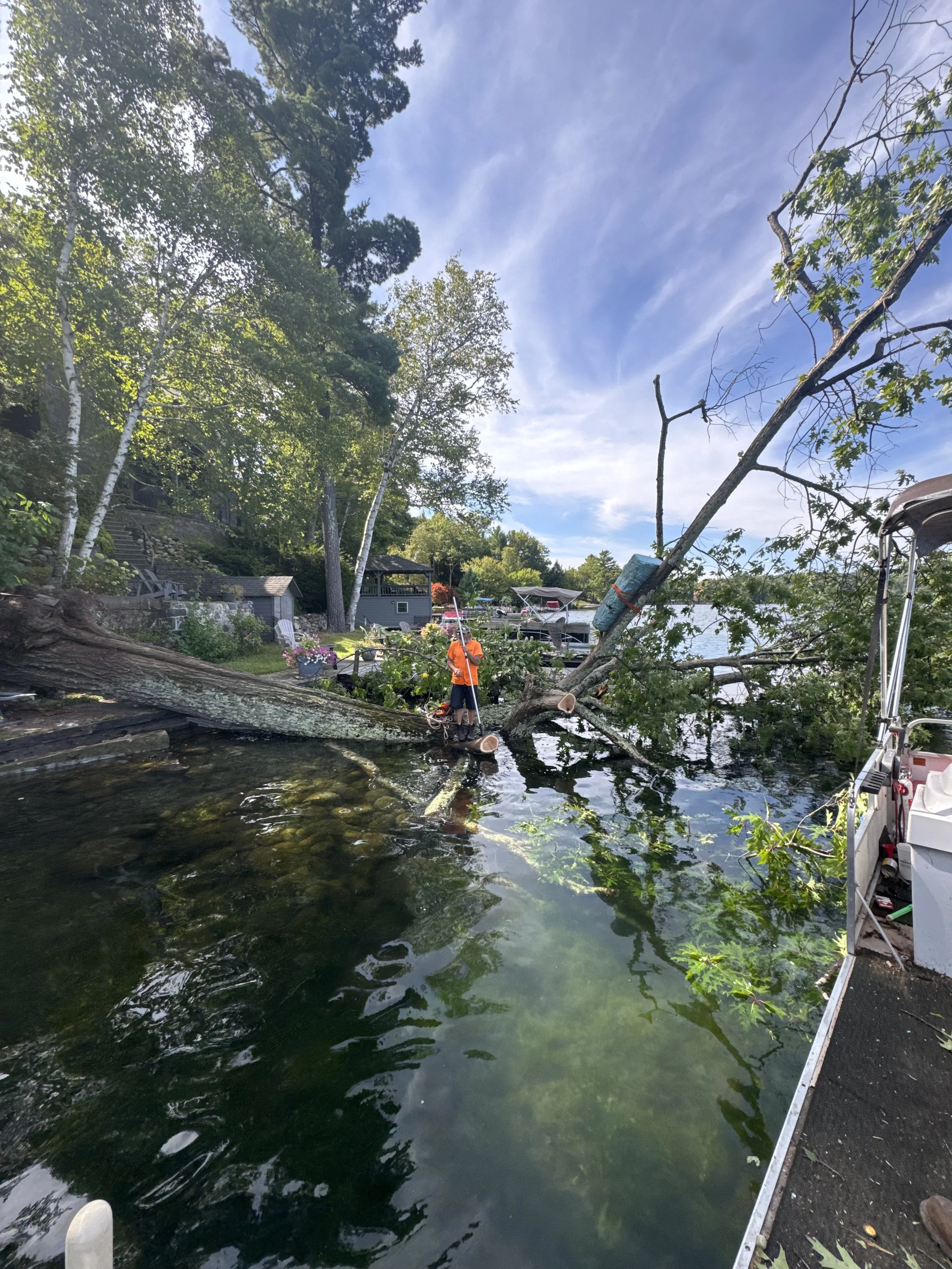 A person in an orange shirt and dark shorts standing on a fallen tree that is partially submerged in a lake or river, with a boat dock and trees on the shoreline in the background. The tree is broken and leaning over the water, with nearby trees and houses visible.