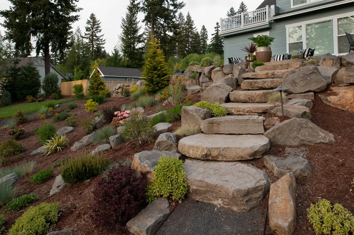 Landscape garden with stone steps leading up a hillside, surrounded by various plants, shrubs, and flowers, with a house and trees in the background.