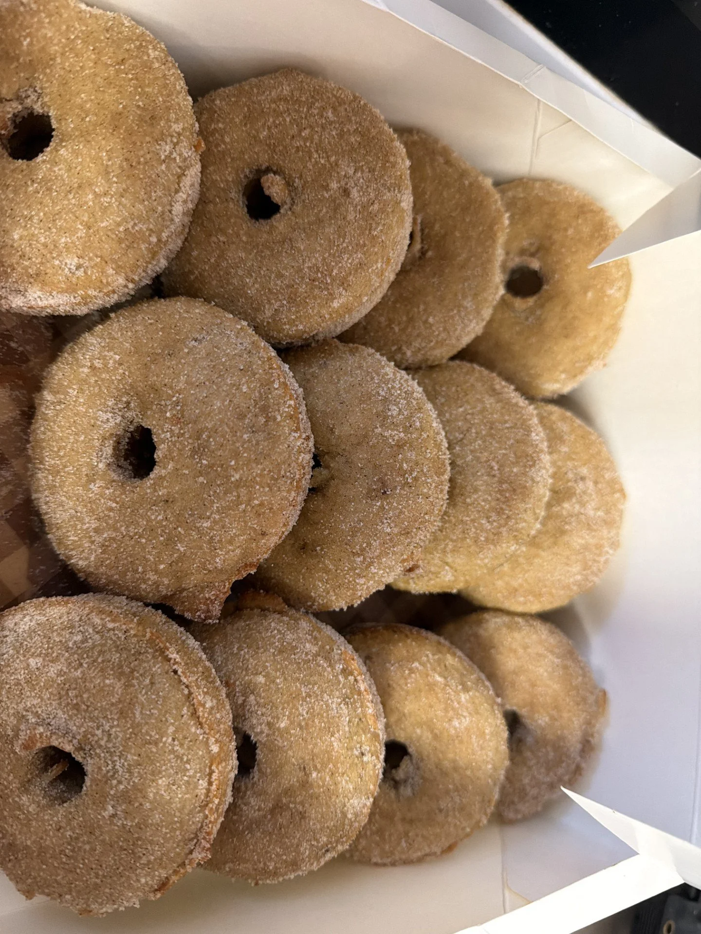 Pumpkin Donuts