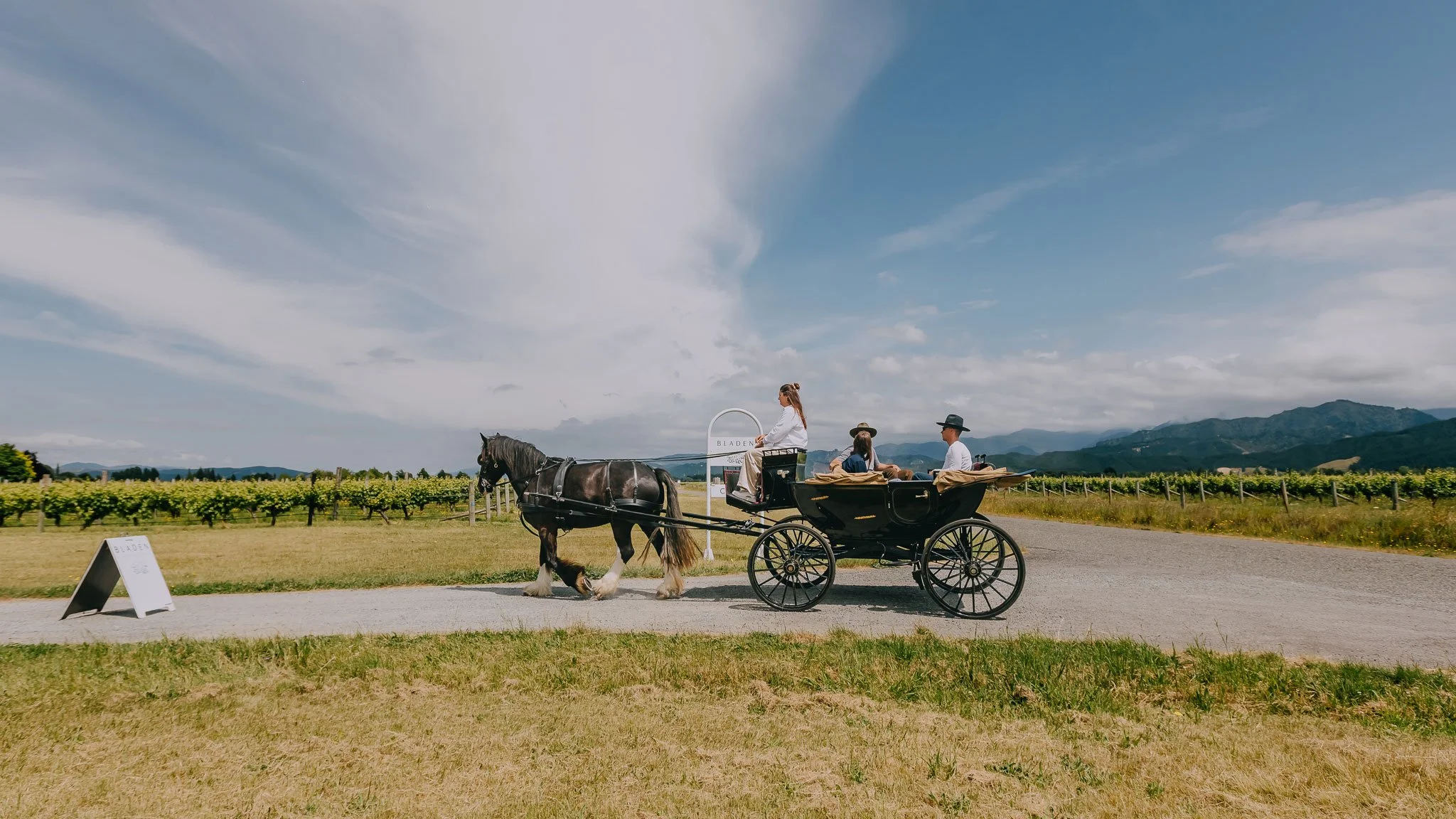 Terroir-and-us-Marlborough-Carriage-Tours-bladen.jpg