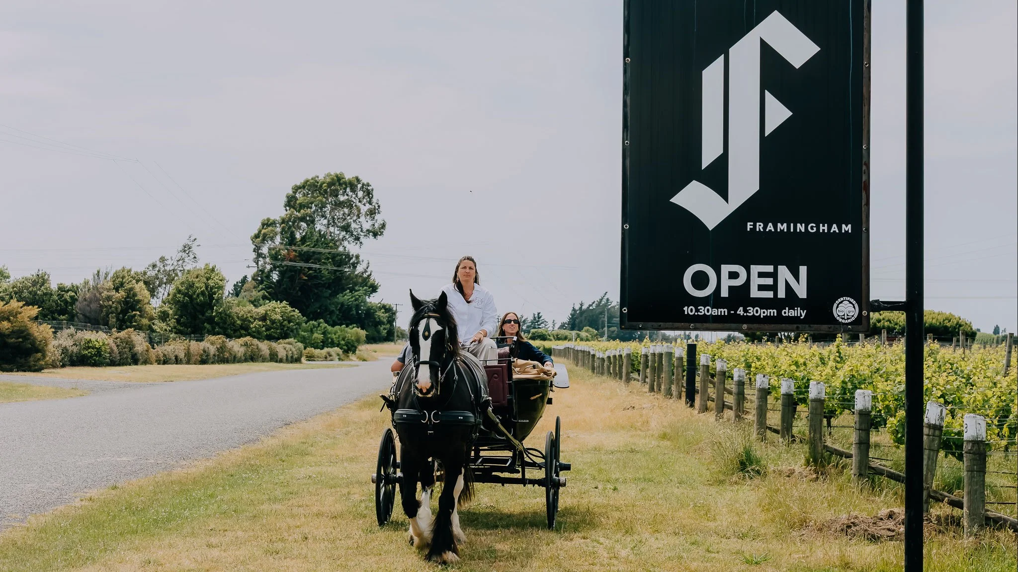 Terroir-and-us-Marlborough-Carriage-Tours-Framingham.jpg
