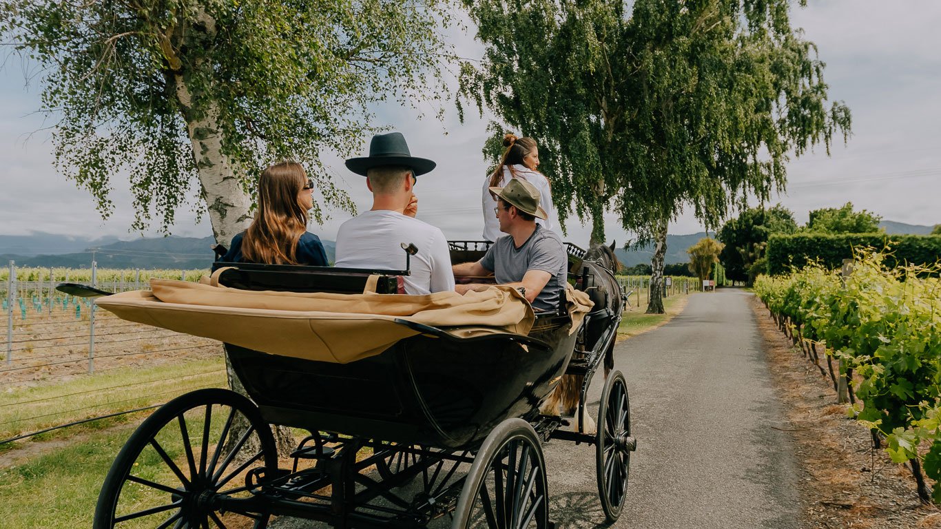 Terroir-and-us-Marlborough-Carriage-Tours-gal-2.jpg