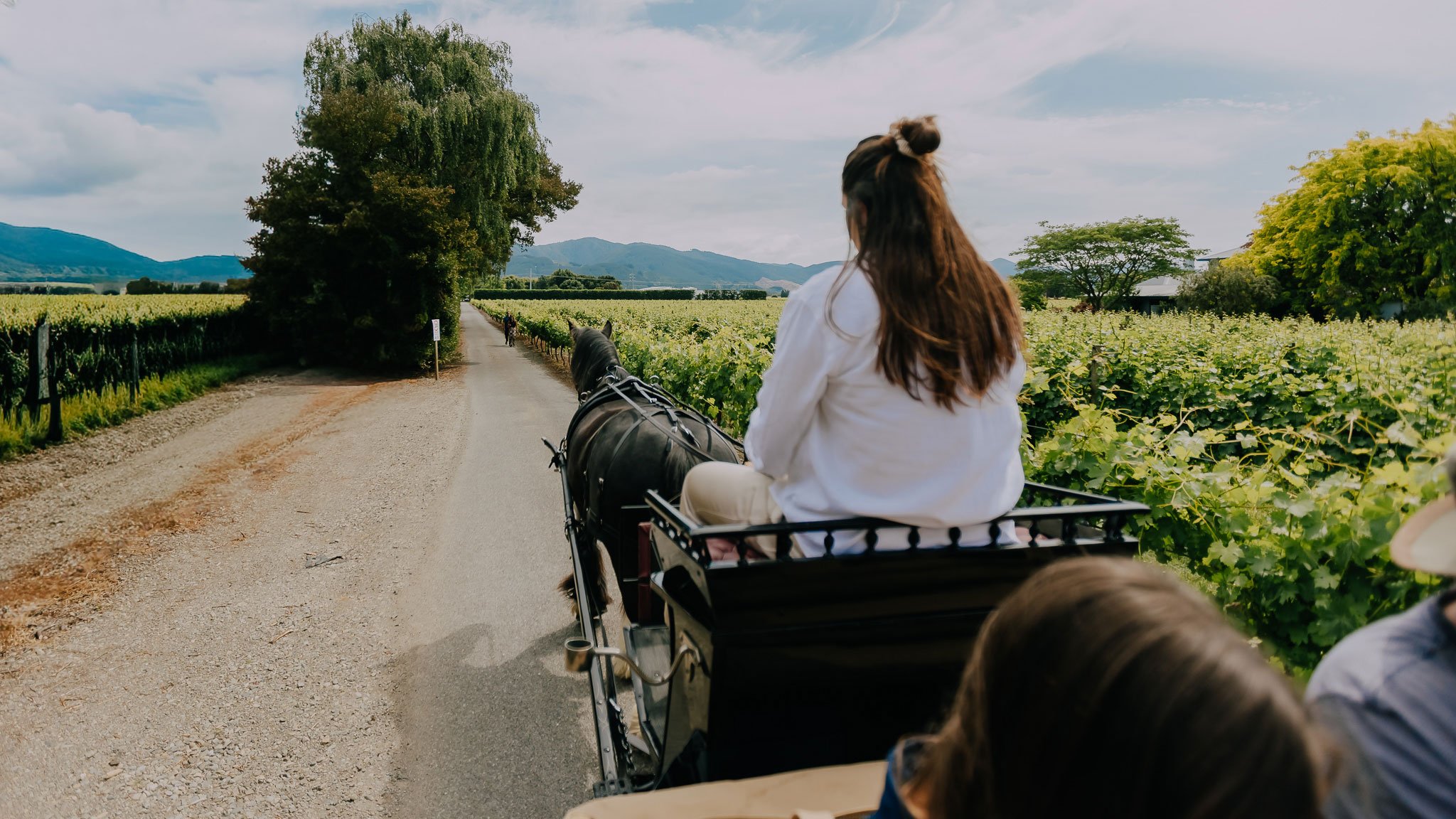 Terroir-and-us-Marlborough-Carriage-Tours-gal-5.jpg