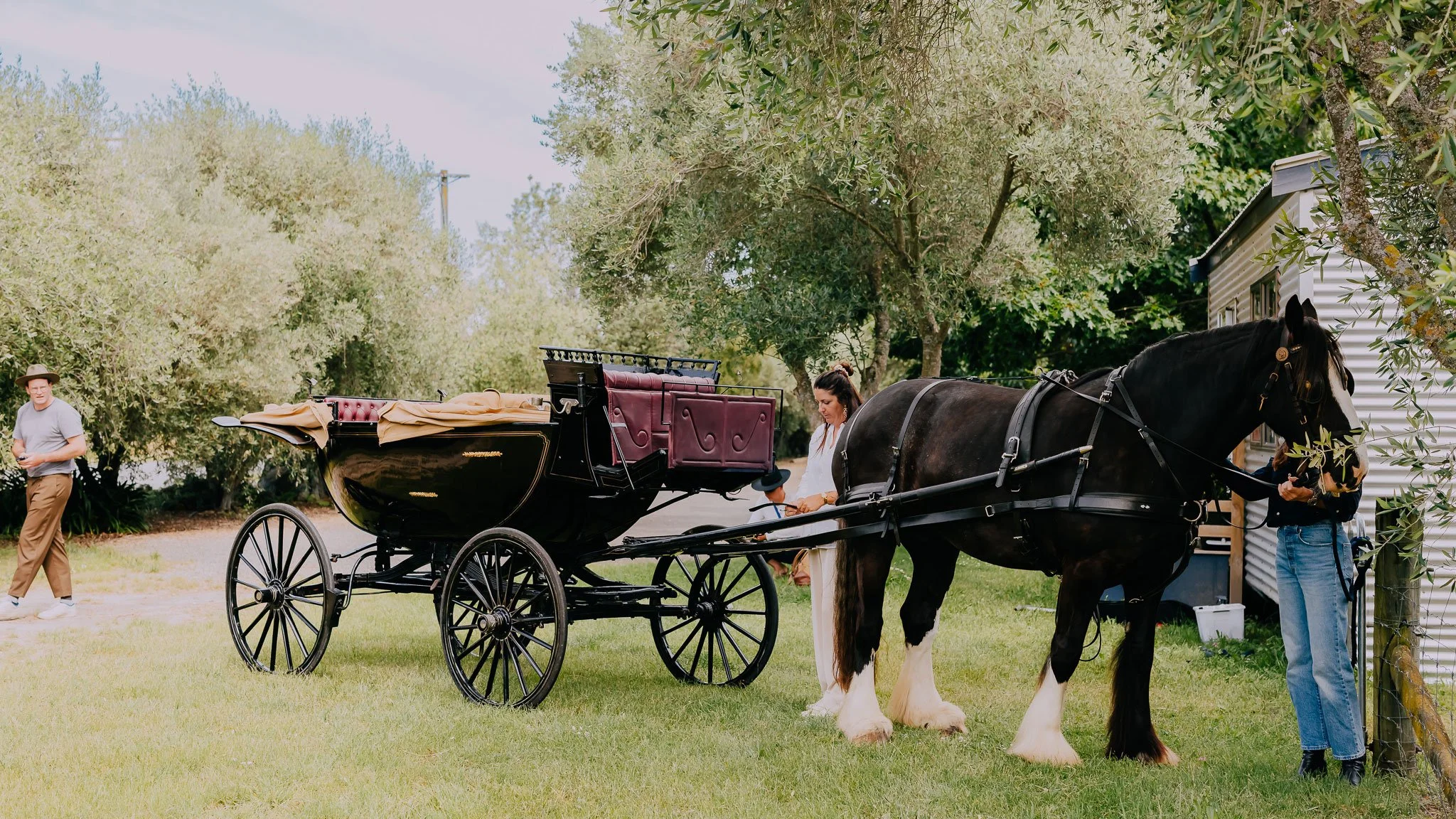 Terroir-and-us-Marlborough-Carriage-Tours-gal-6.jpg