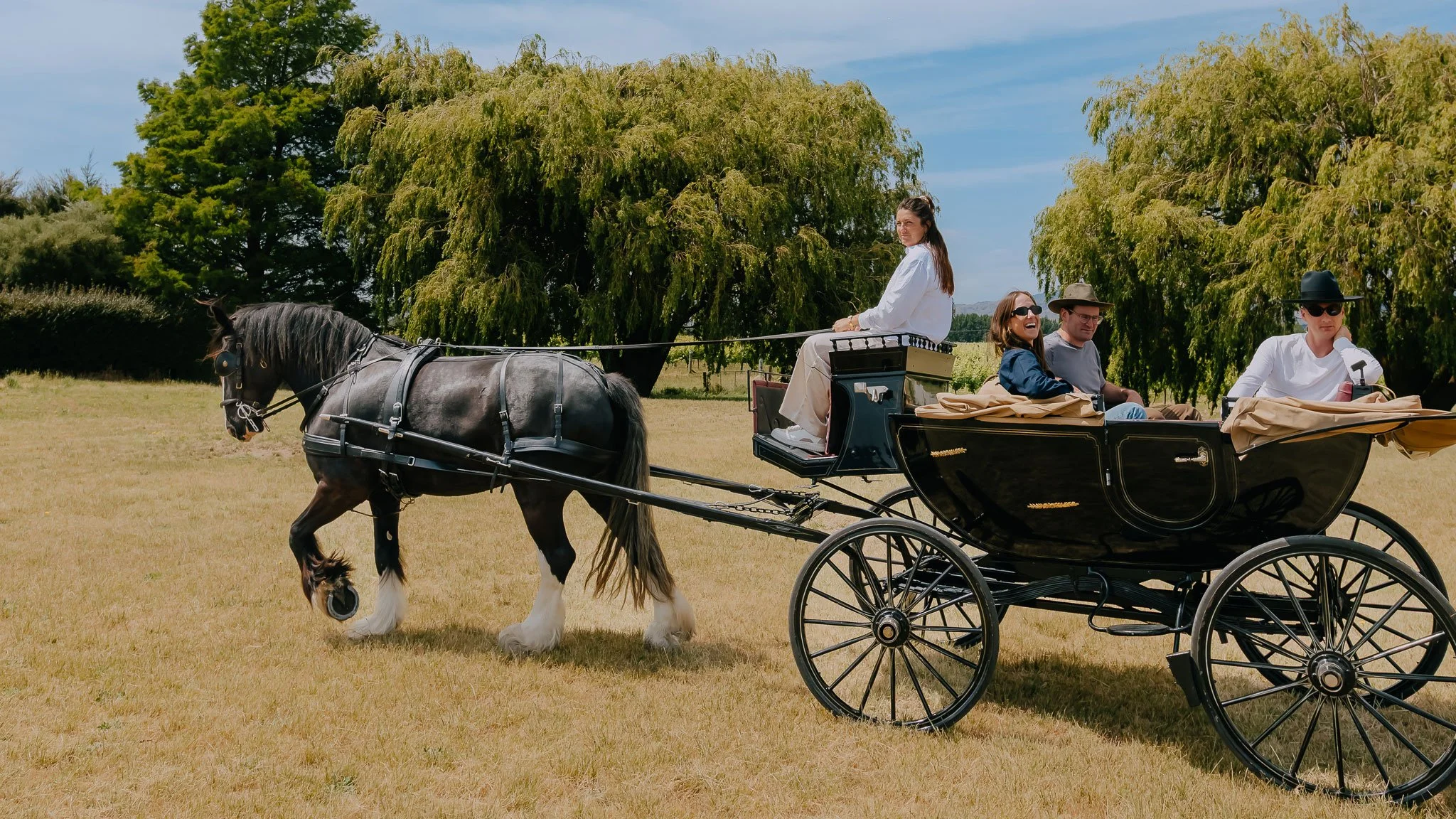 Terroir-and-us-Marlborough-horse-drawn-Carriage-Tours.jpg