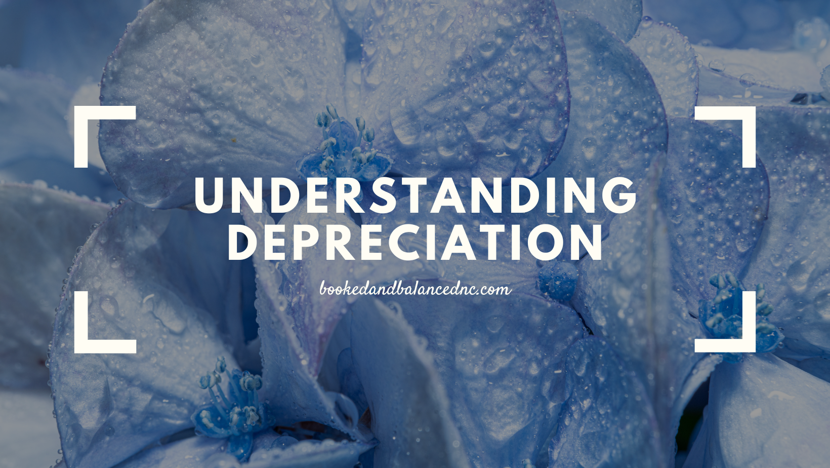 Depreciation Guide