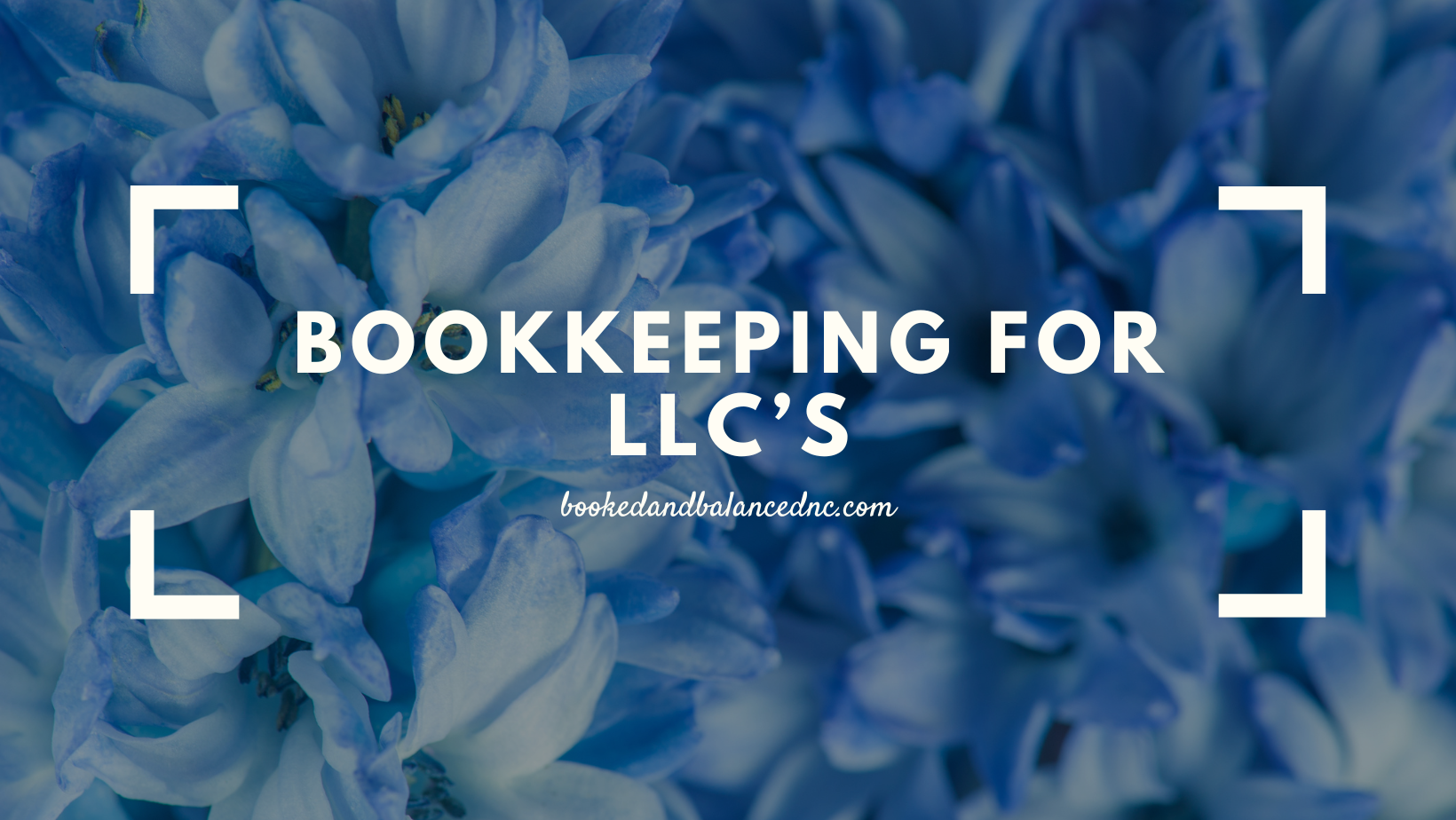 Bookkeeping for LLCs
