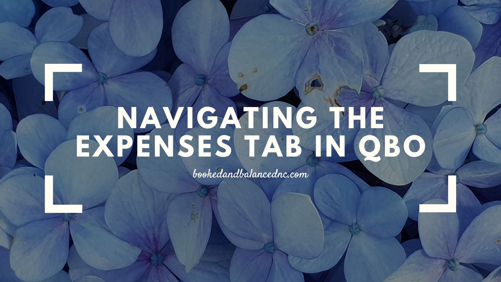 Navigating the Expenses &amp; Bills Tab in QBO