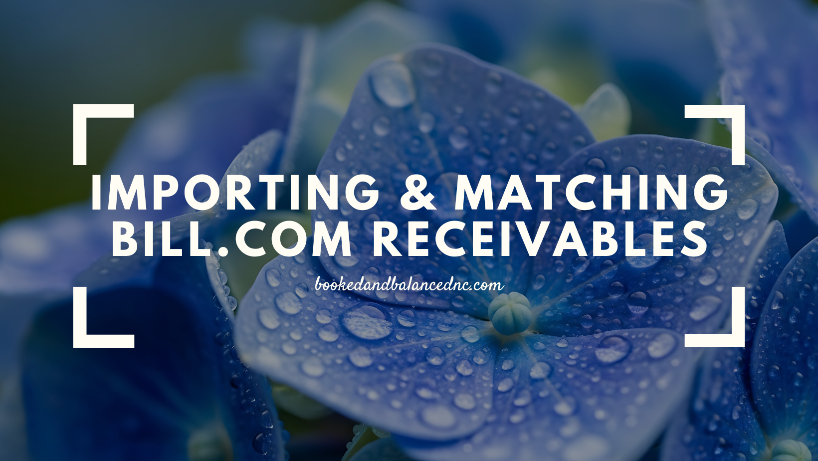 Importing &amp; Matching Bll.com Receivables