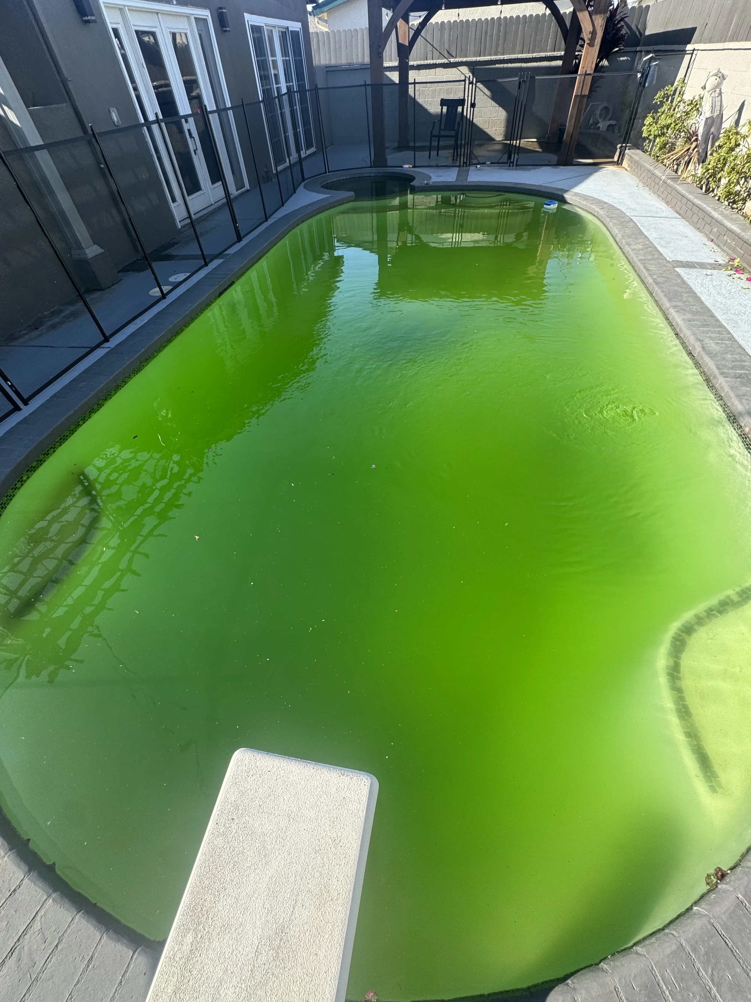 Green pool