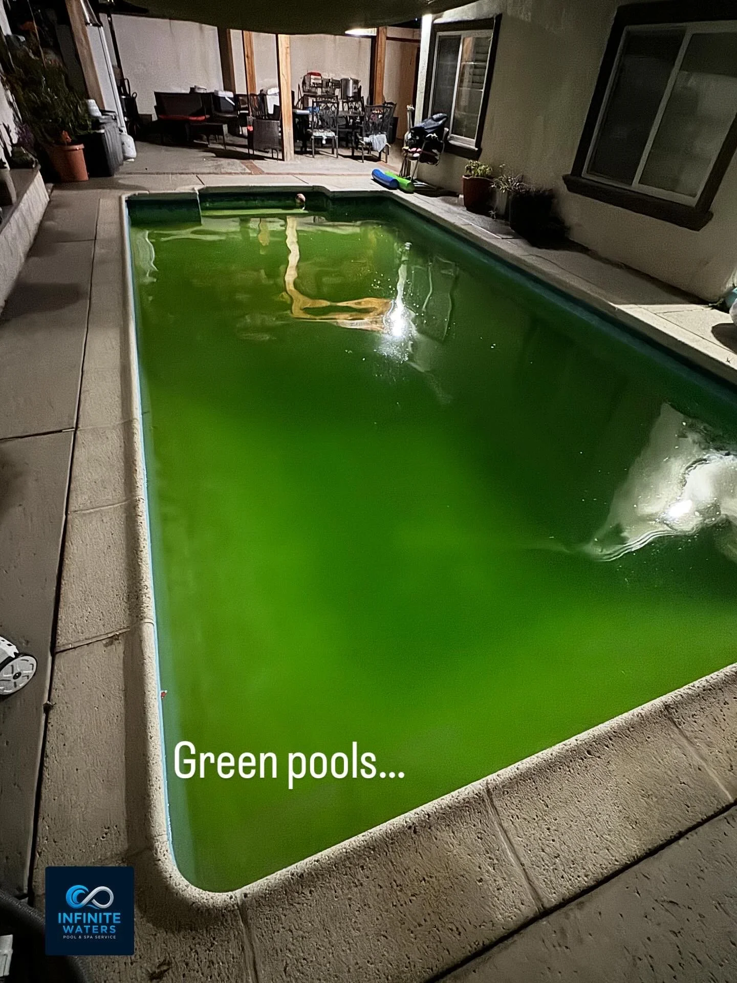 Indoor swimming pool filled with green water, indicating algae growth, with a small ball floating on the surface.