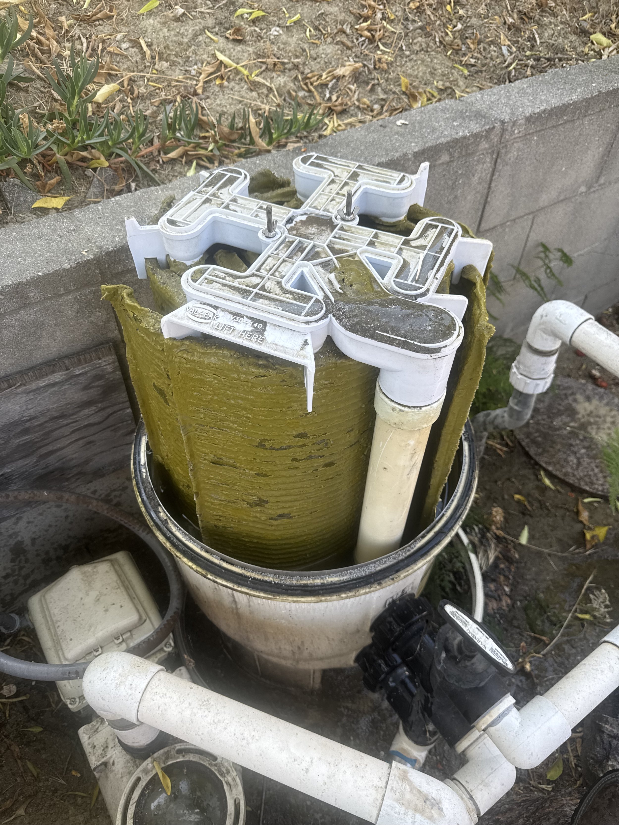 A pool pump with the top removed, showing the internal filter and piping inside.