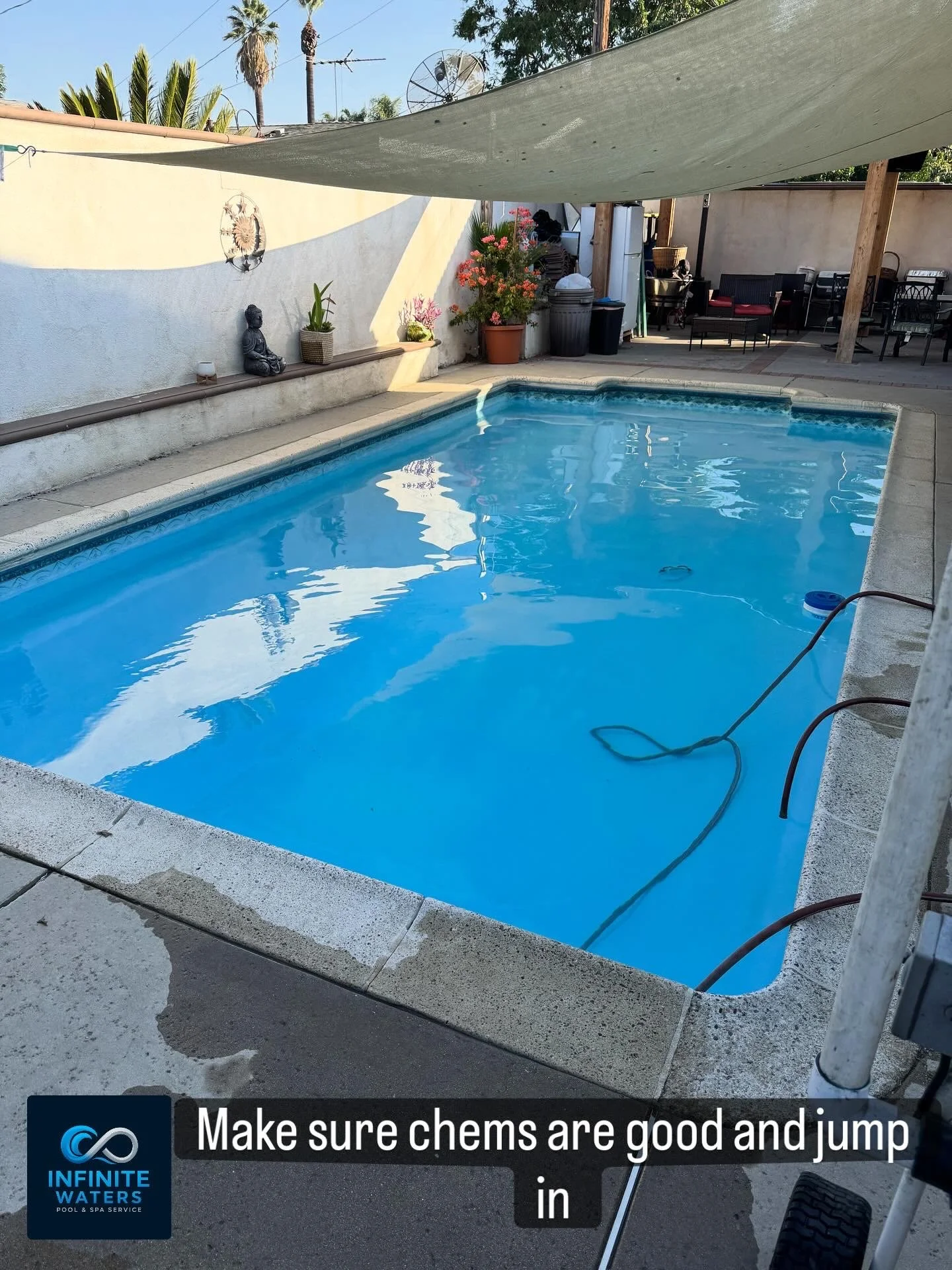 A backyard swimming pool with a concrete deck, surrounded by potted plants and outdoor furniture. There is a shade sail overhead and the water in the pool is clear blue. The scene includes a garden statue, a Buddha figure, and various gardening tools