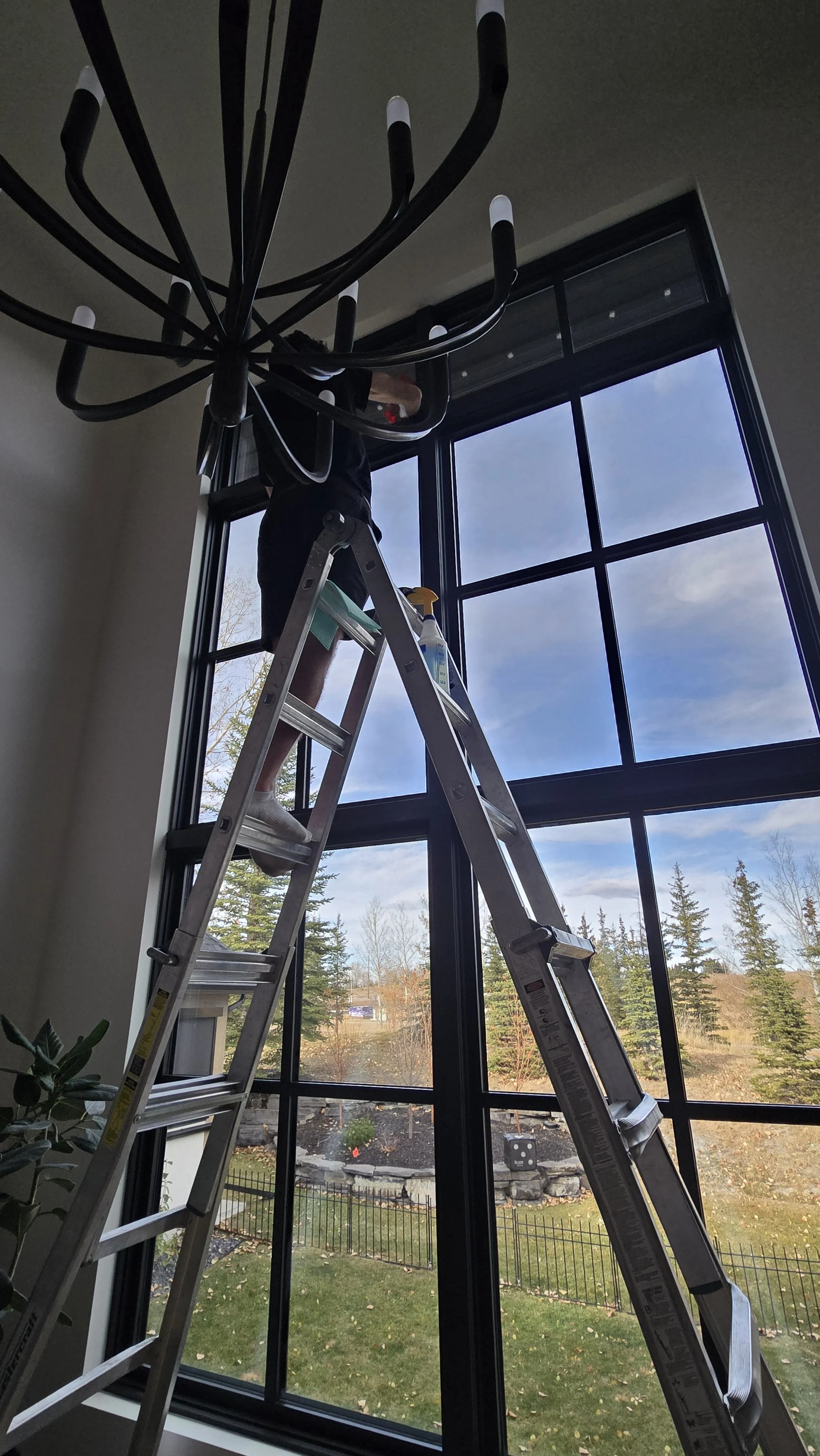 window cleaning