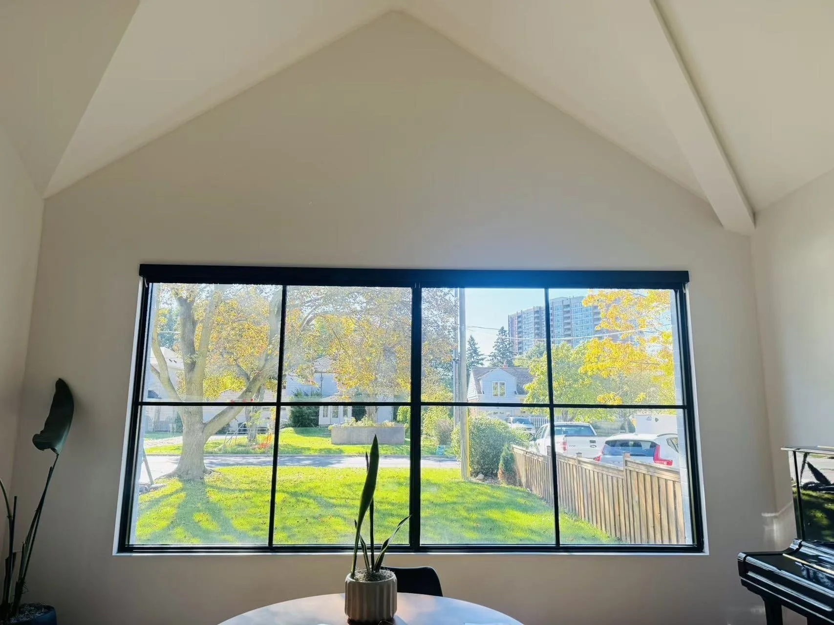 View of a sunny backyard through a large, black-framed window with divided panes. There is a green lawn, a tree to the left, a wooden fence, and some parked cars. Inside, a potted plant on a round table and part of a piano are visible.
