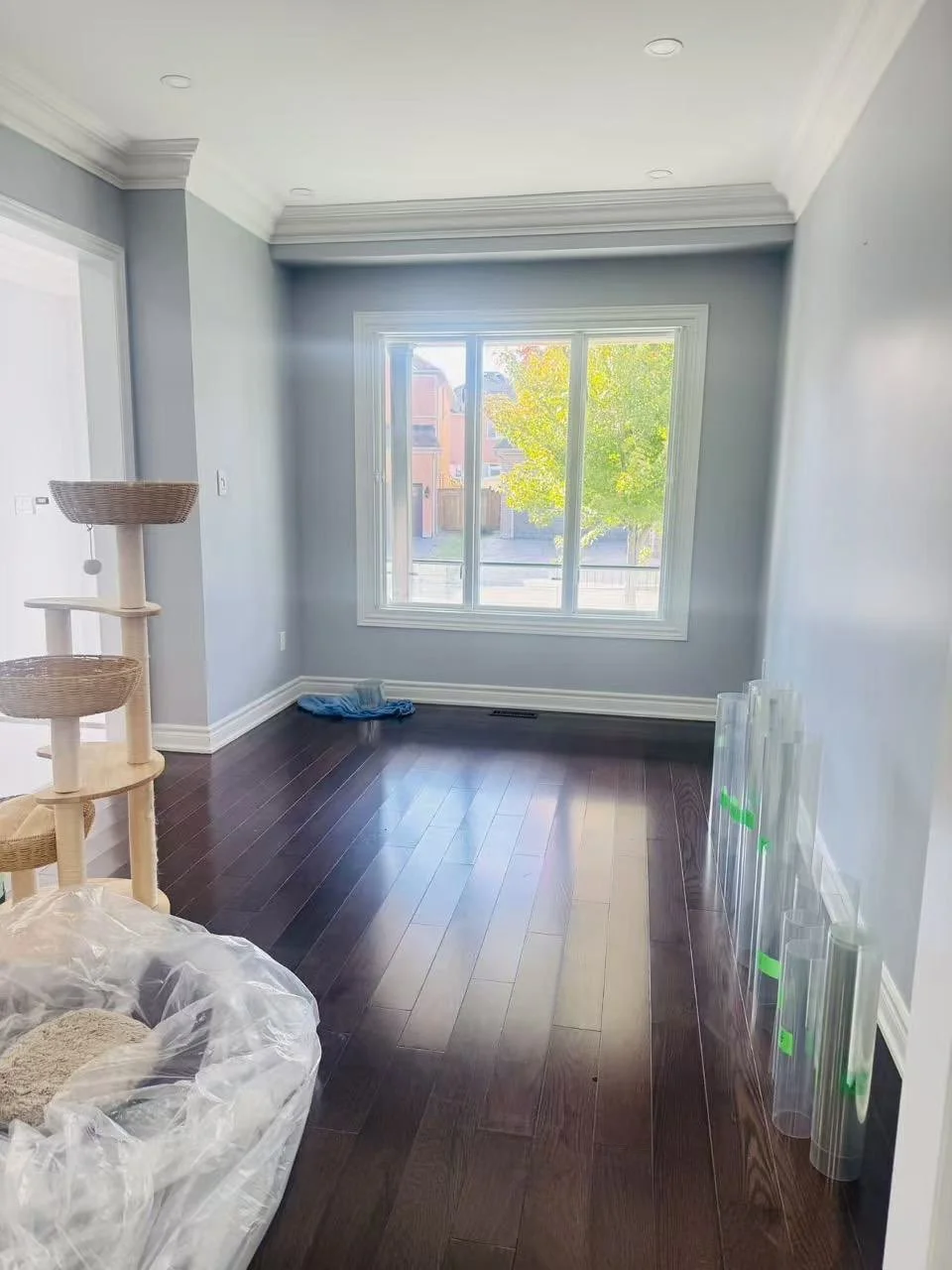 Empty room with hardwood floors, large window with a view of trees and neighboring buildings, gray walls, and white trim. There is a cat tree, some rolled-up plastic storage containers, and a fabric item on the floor.