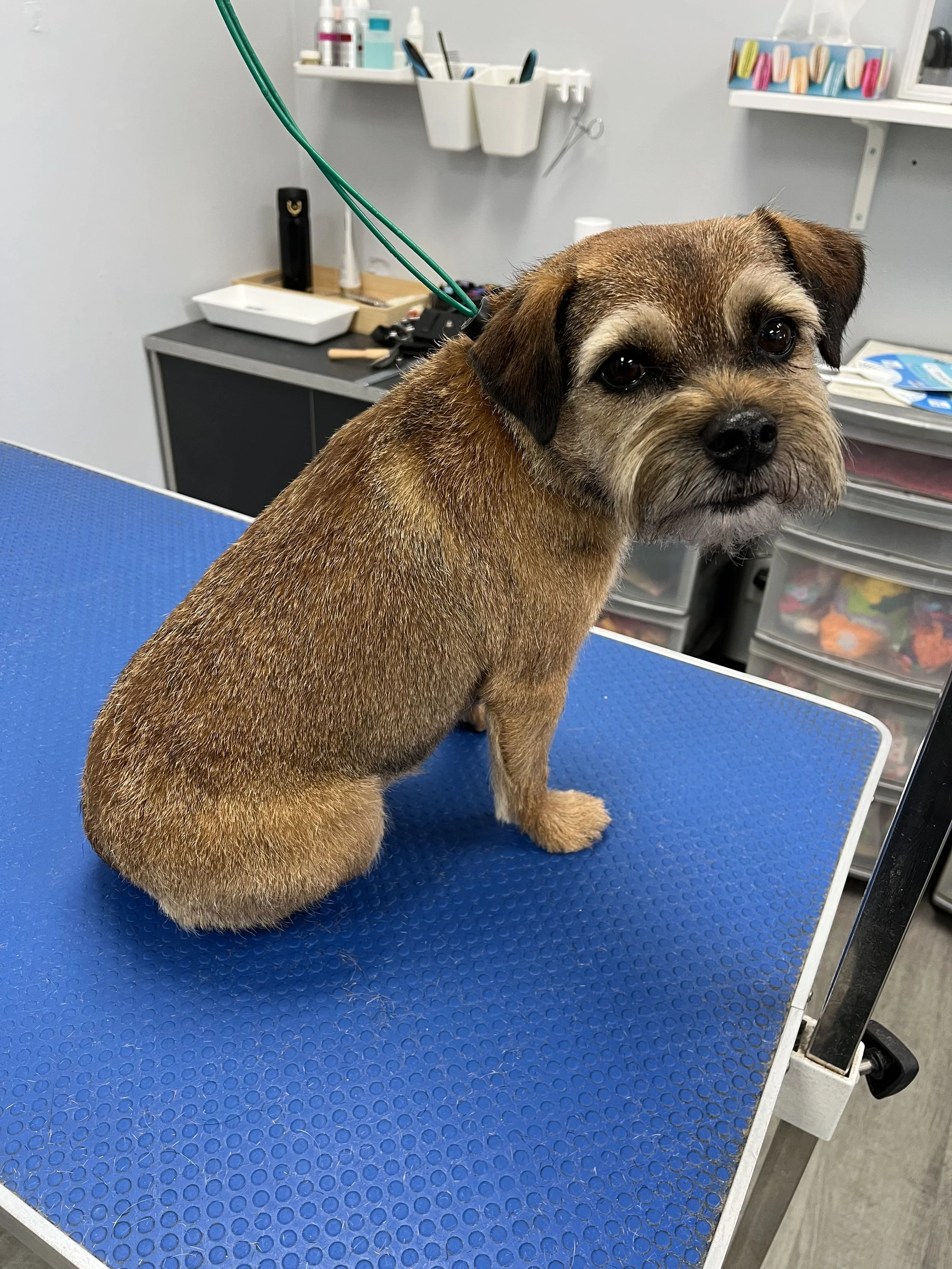 A LA CARTE/WALK IN SERVICES, HANDSTRIPPING