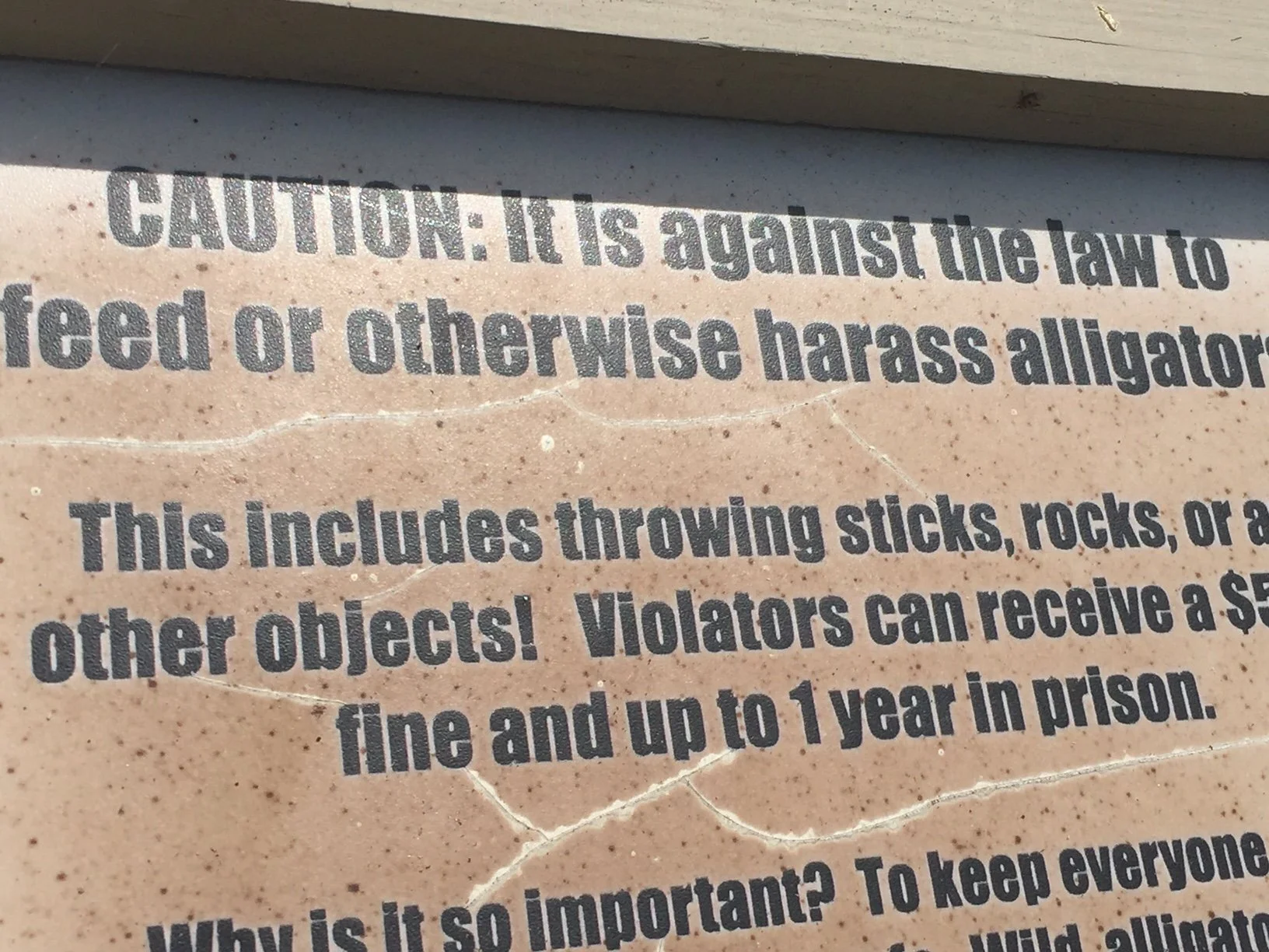 Public announcement: No alligators were harmed in the making of this show.