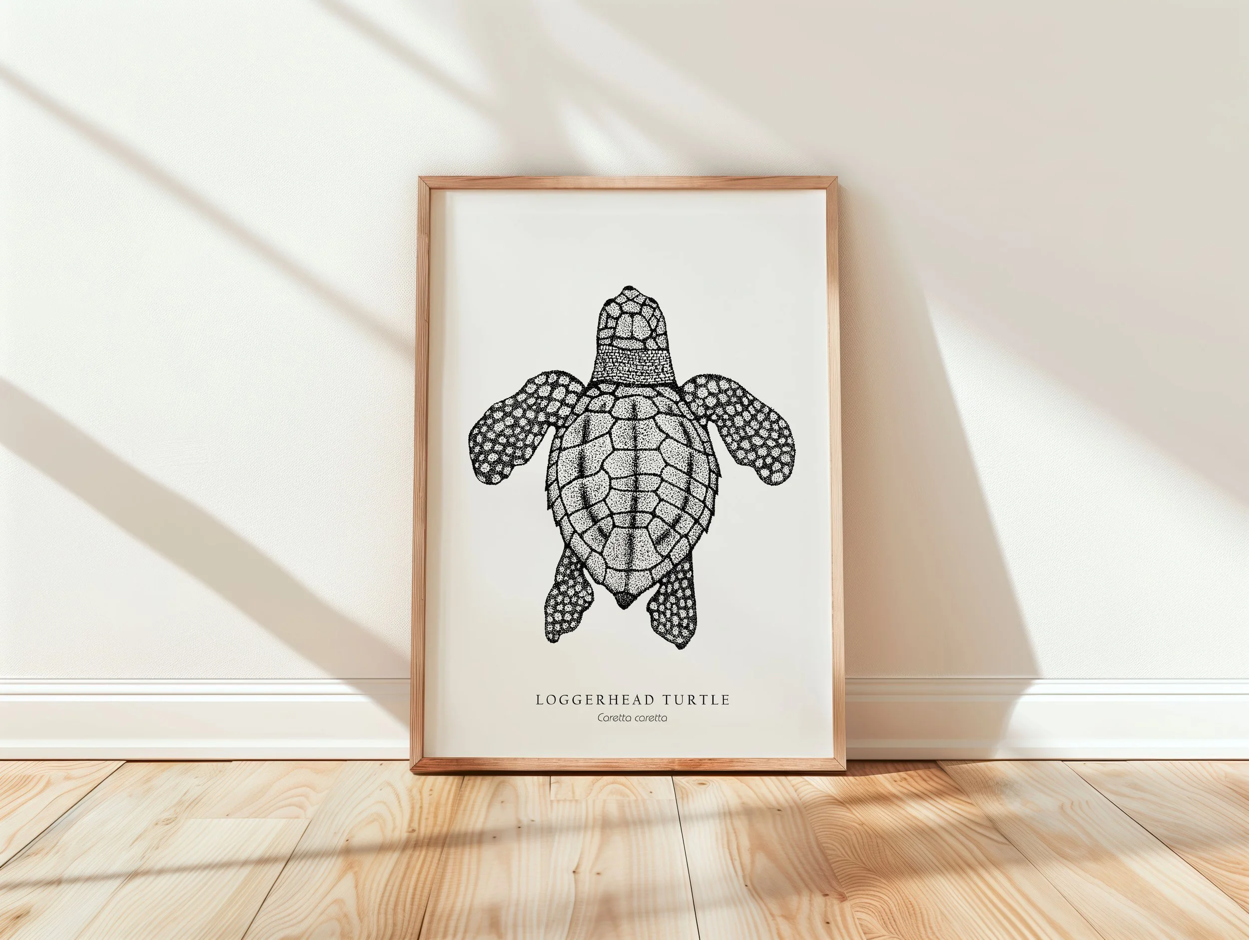 turtle mock up.jpg