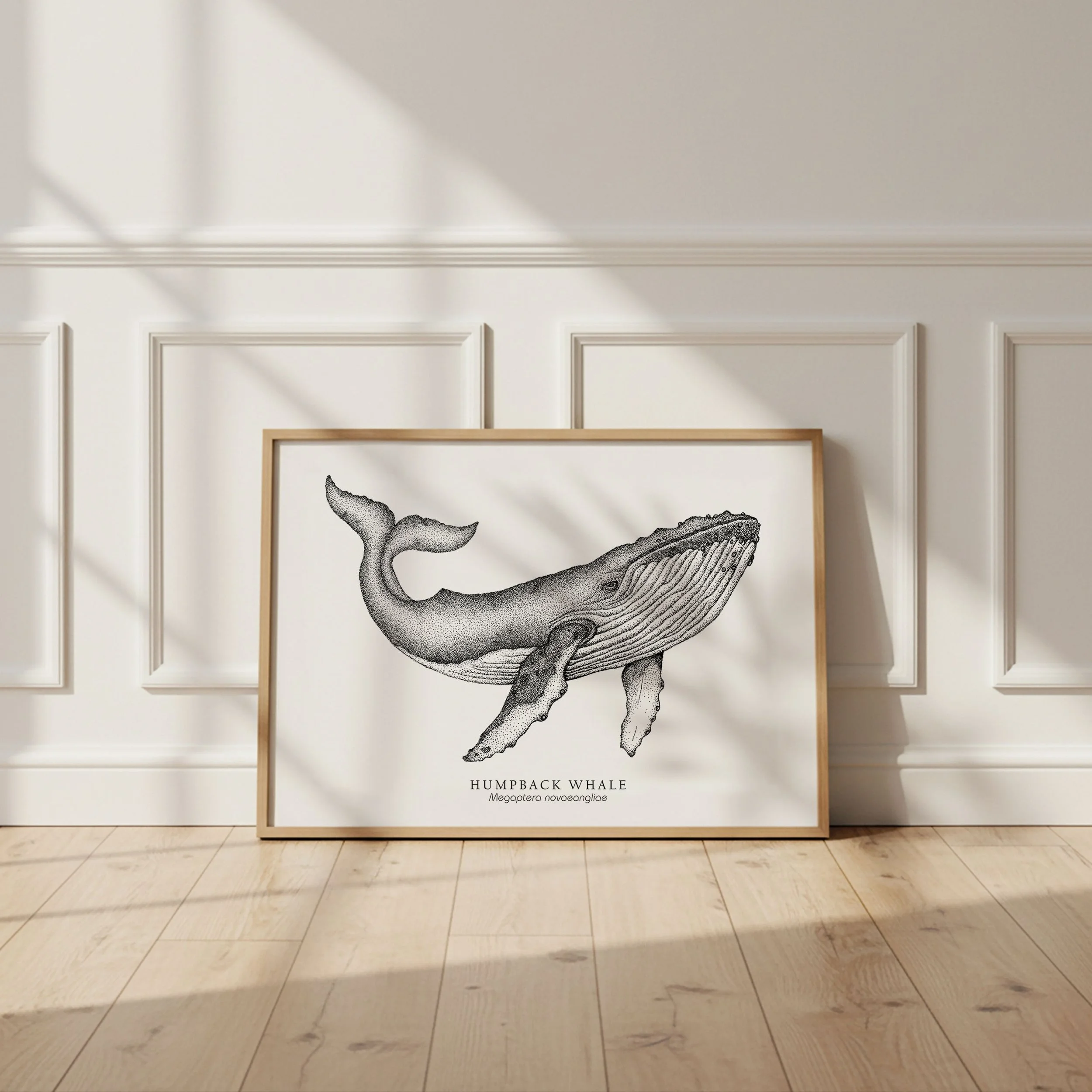 whale mockup.jpg
