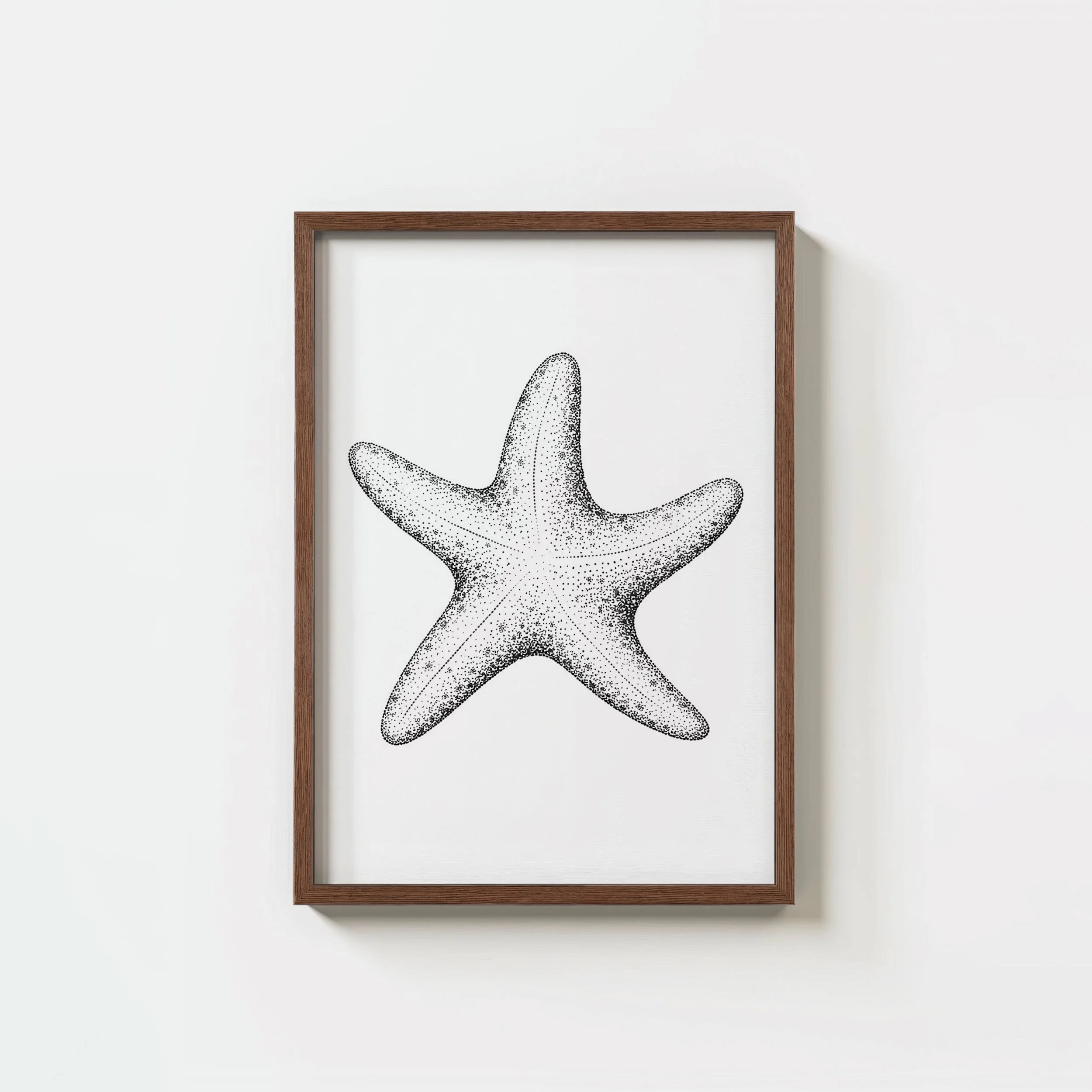 Coastal Starfish