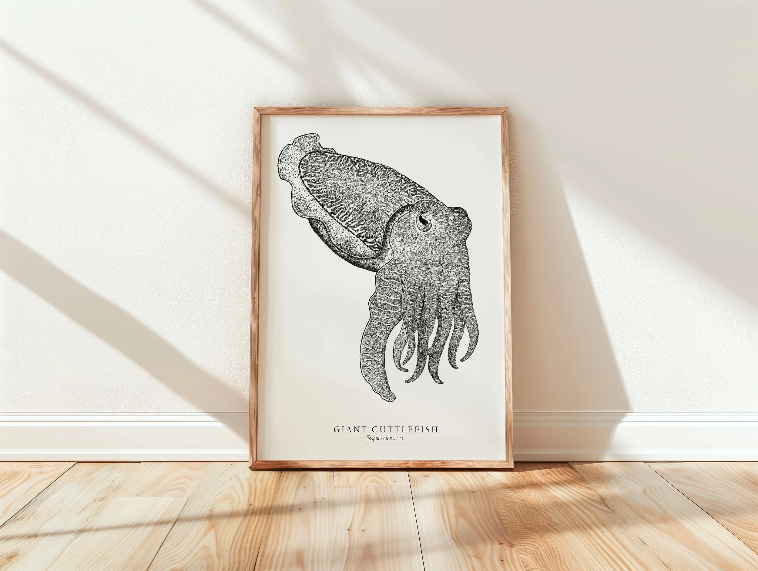 cuttlefish mock up.jpg