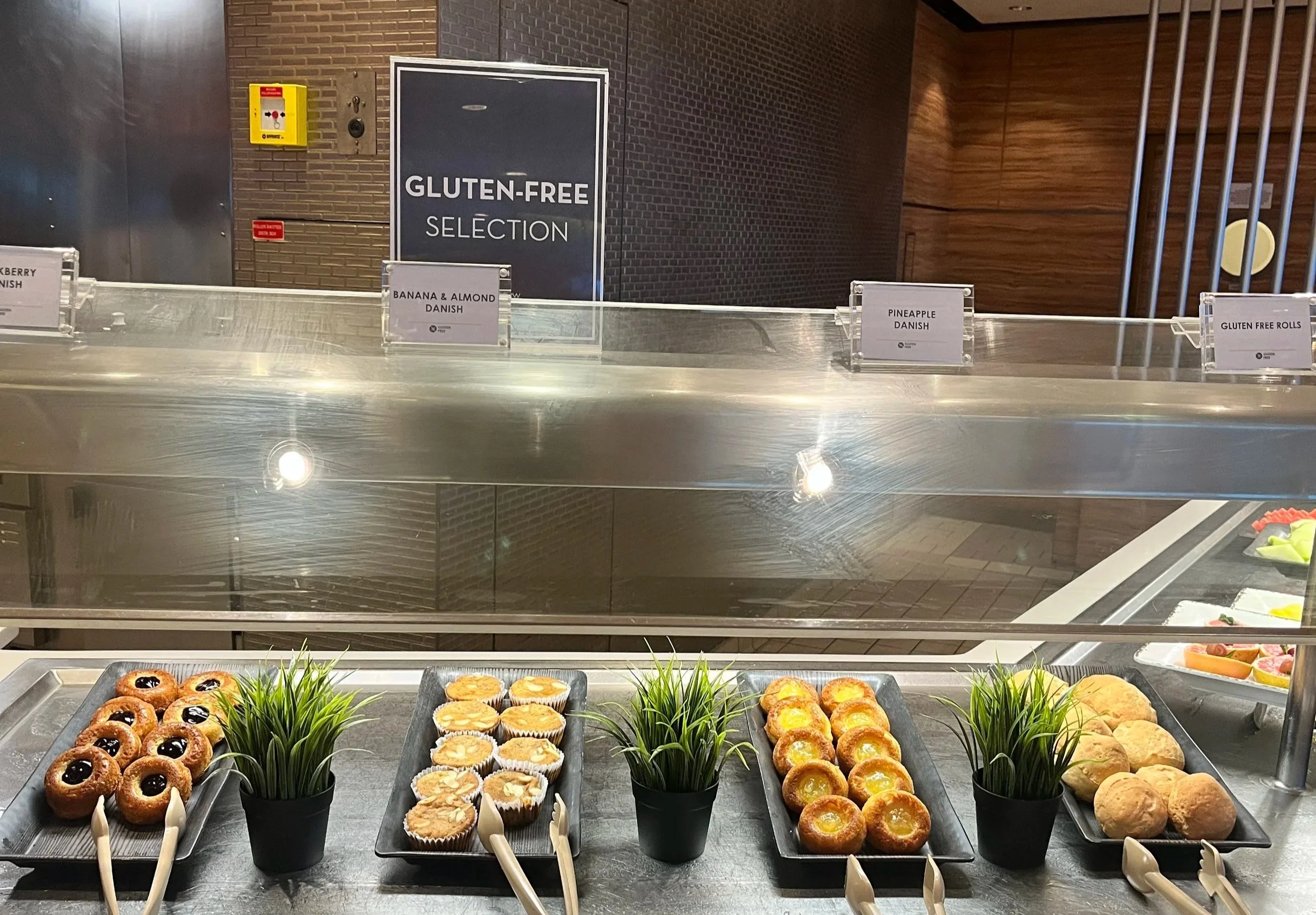 Traveling With Food Allergies: All-Inclusives and Cruises